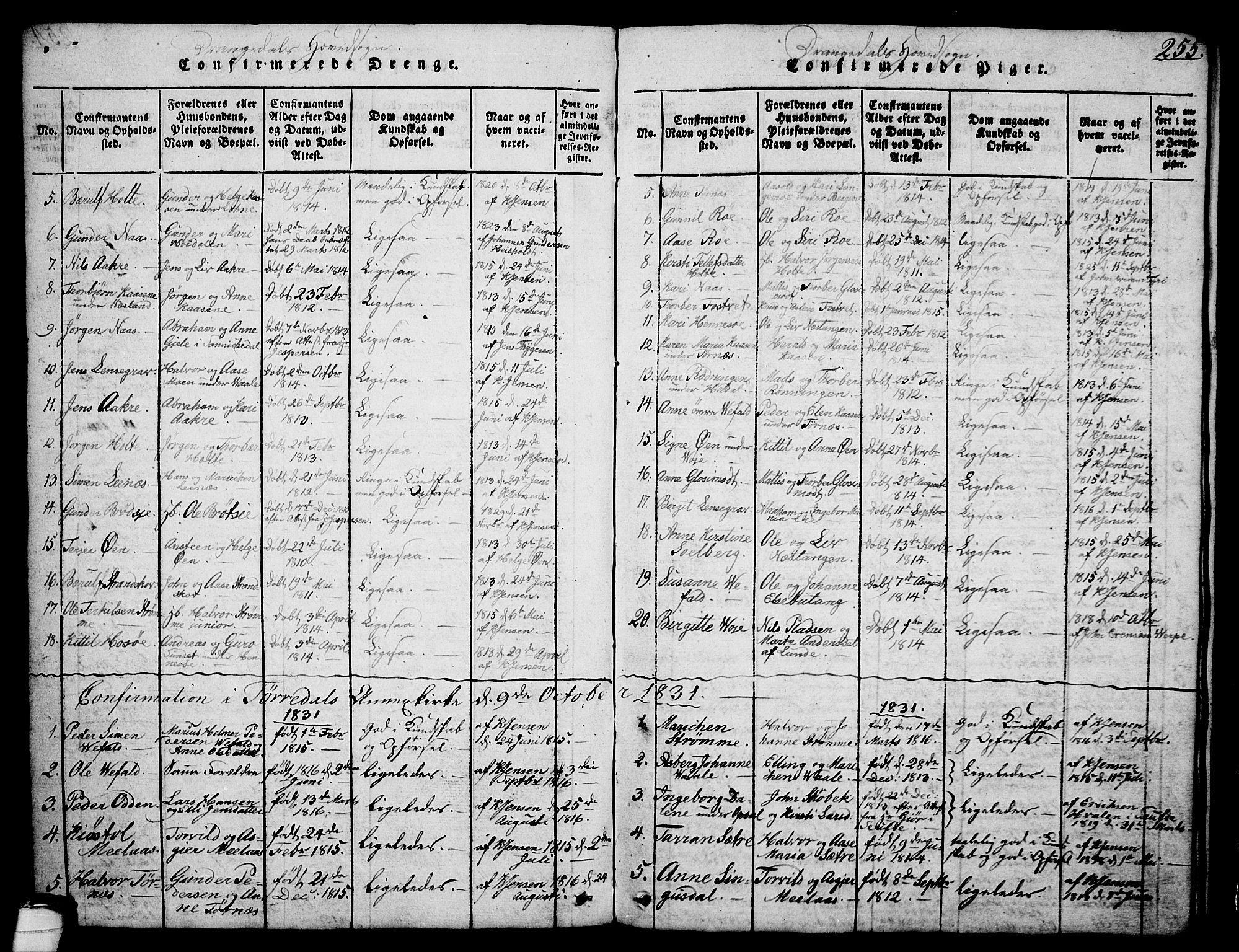 Drangedal kirkebøker, SAKO/A-258/G/Ga/L0001: Parish register (copy) no. I 1 /1, 1814-1856, p. 255