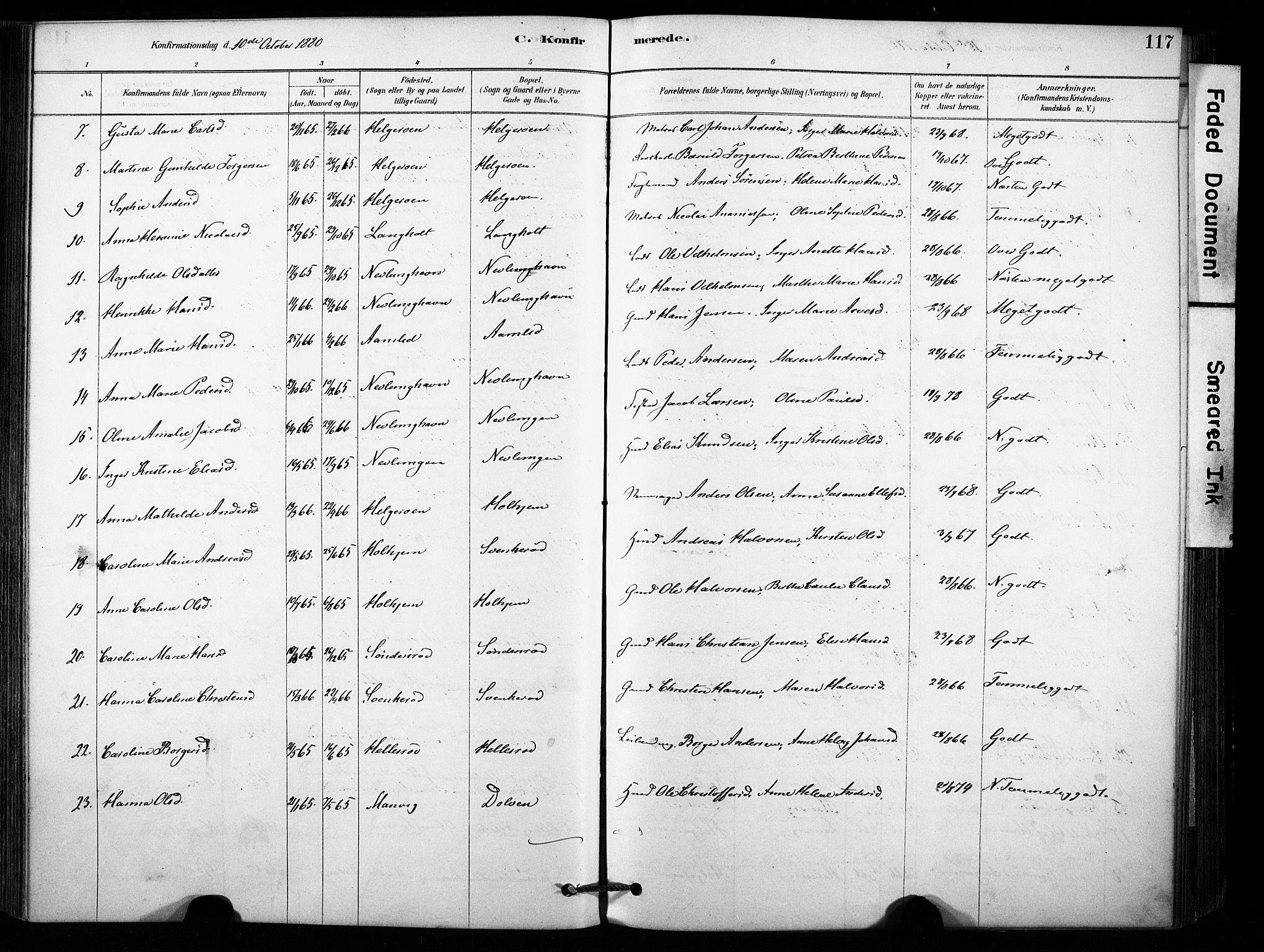 Brunlanes kirkebøker, AV/SAKO-A-342/F/Fb/L0001: Parish register (official) no. II 1, 1878-1899, p. 117