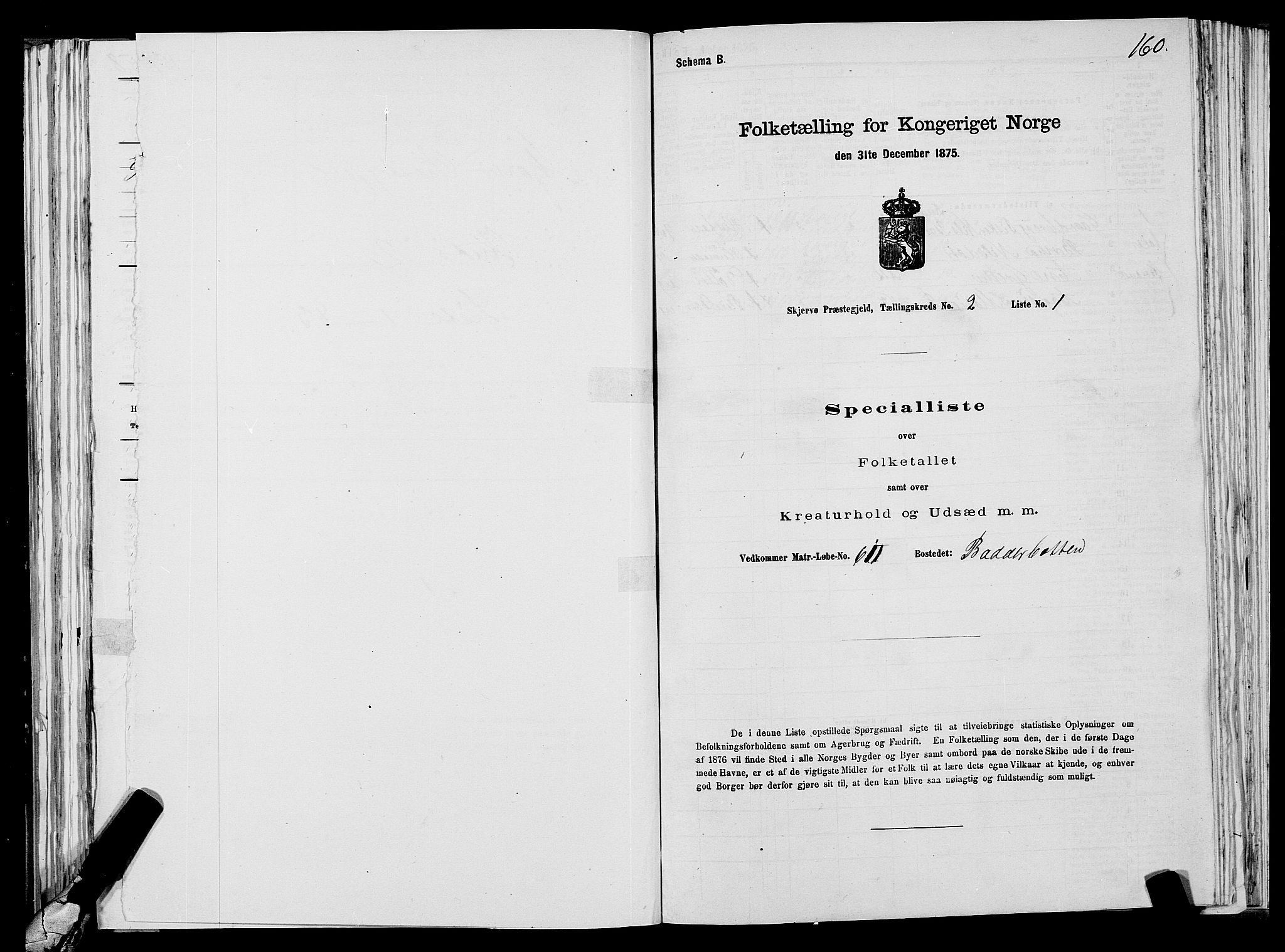 SATØ, 1875 census for 1941P Skjervøy, 1875, p. 1160