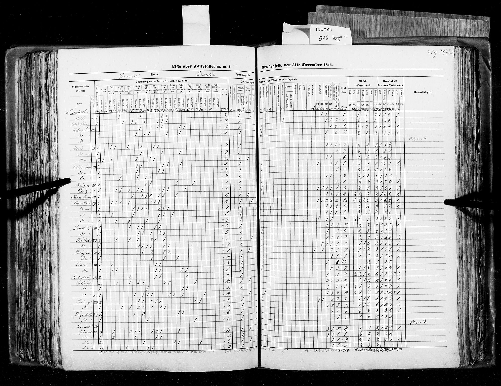 RA, Census 1845, vol. 8: Romsdal amt og Søndre Trondhjems amt, 1845, p. 389