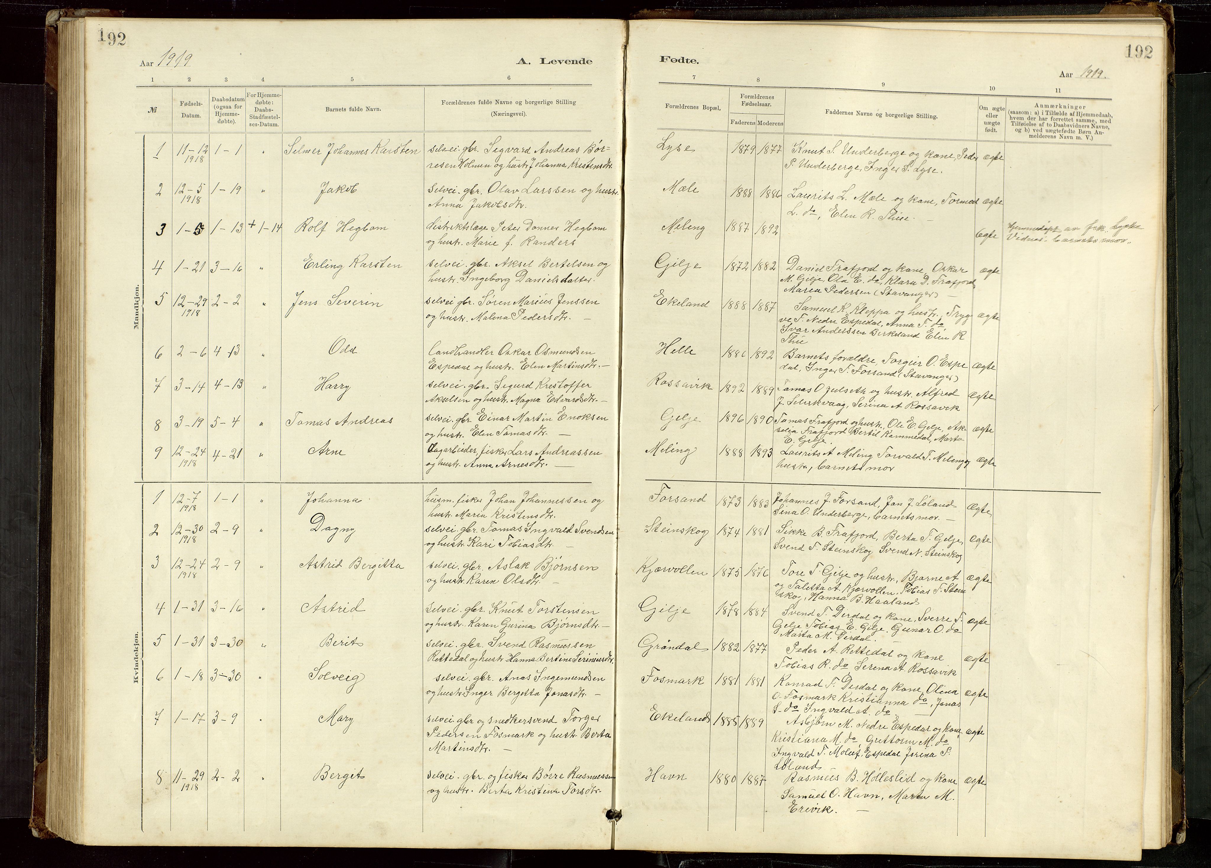 Høgsfjord sokneprestkontor, AV/SAST-A-101624/H/Ha/Hab/L0009: Parish register (copy) no. B 9, 1883-1920, p. 192