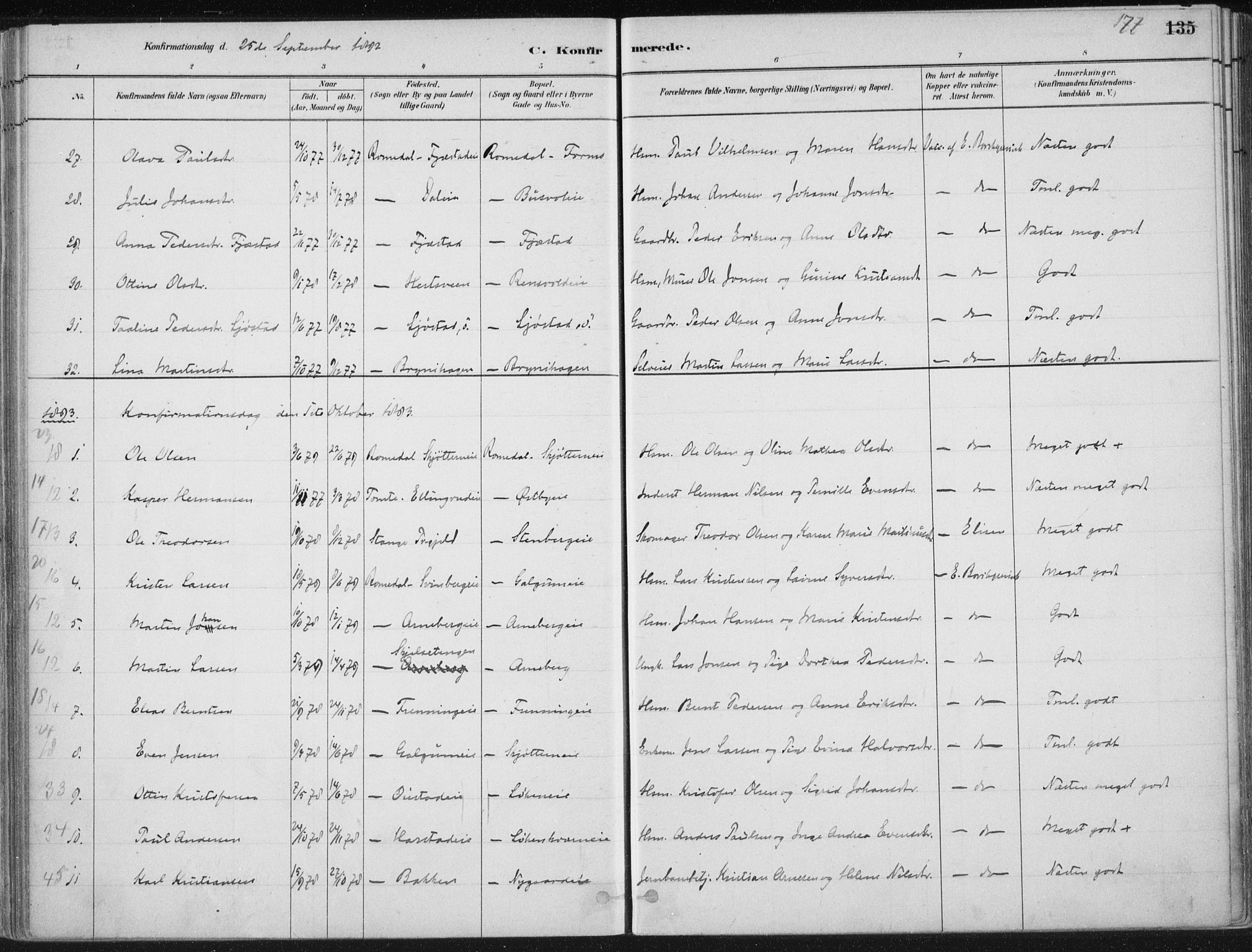 Romedal prestekontor, AV/SAH-PREST-004/K/L0010: Parish register (official) no. 10, 1880-1895, p. 177