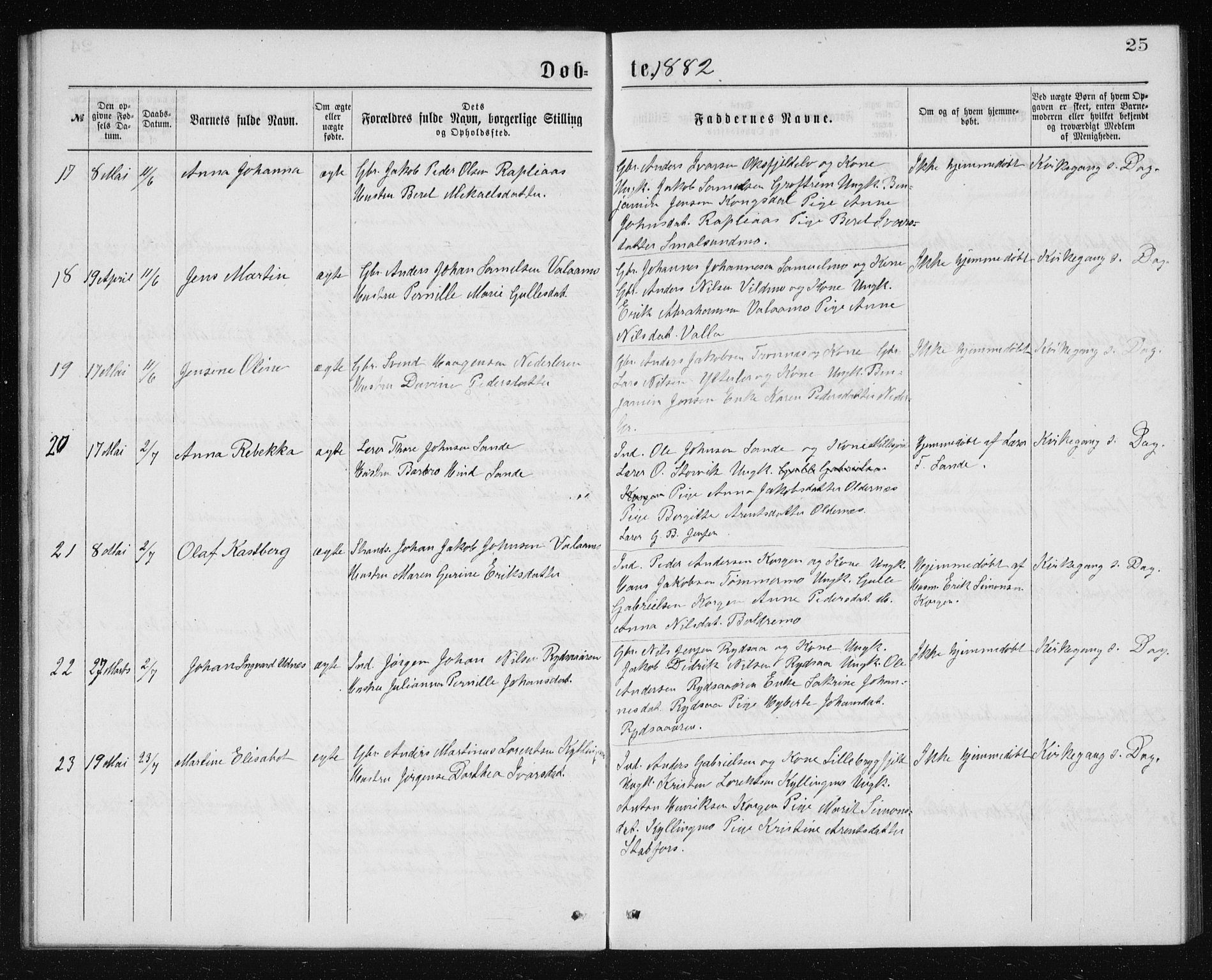 Ministerialprotokoller, klokkerbøker og fødselsregistre - Nordland, SAT/A-1459/826/L0381: Parish register (copy) no. 826C01, 1877-1886, p. 25