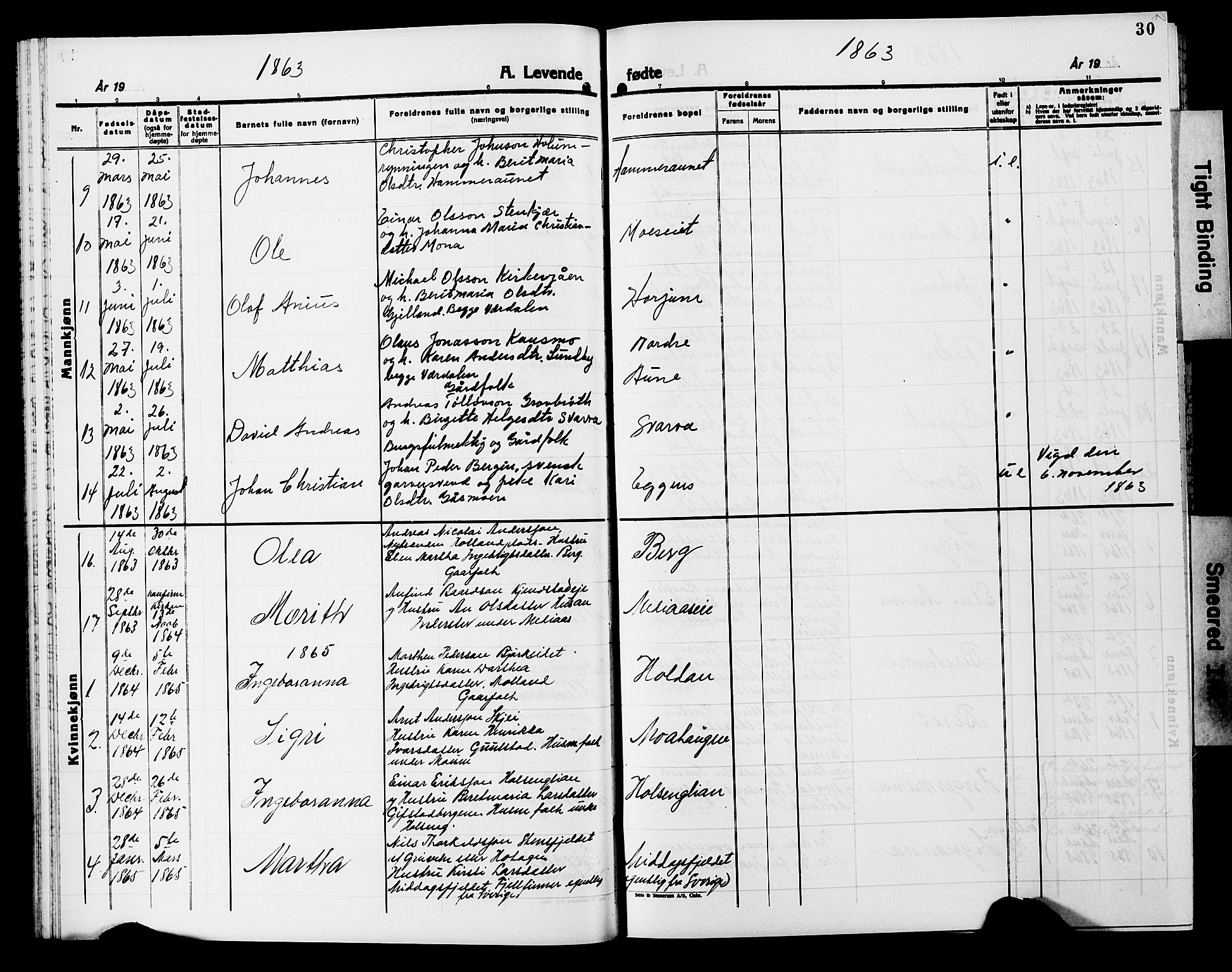 Ministerialprotokoller, klokkerbøker og fødselsregistre - Nord-Trøndelag, SAT/A-1458/749/L0485: Parish register (official) no. 749D01, 1857-1872, p. 30