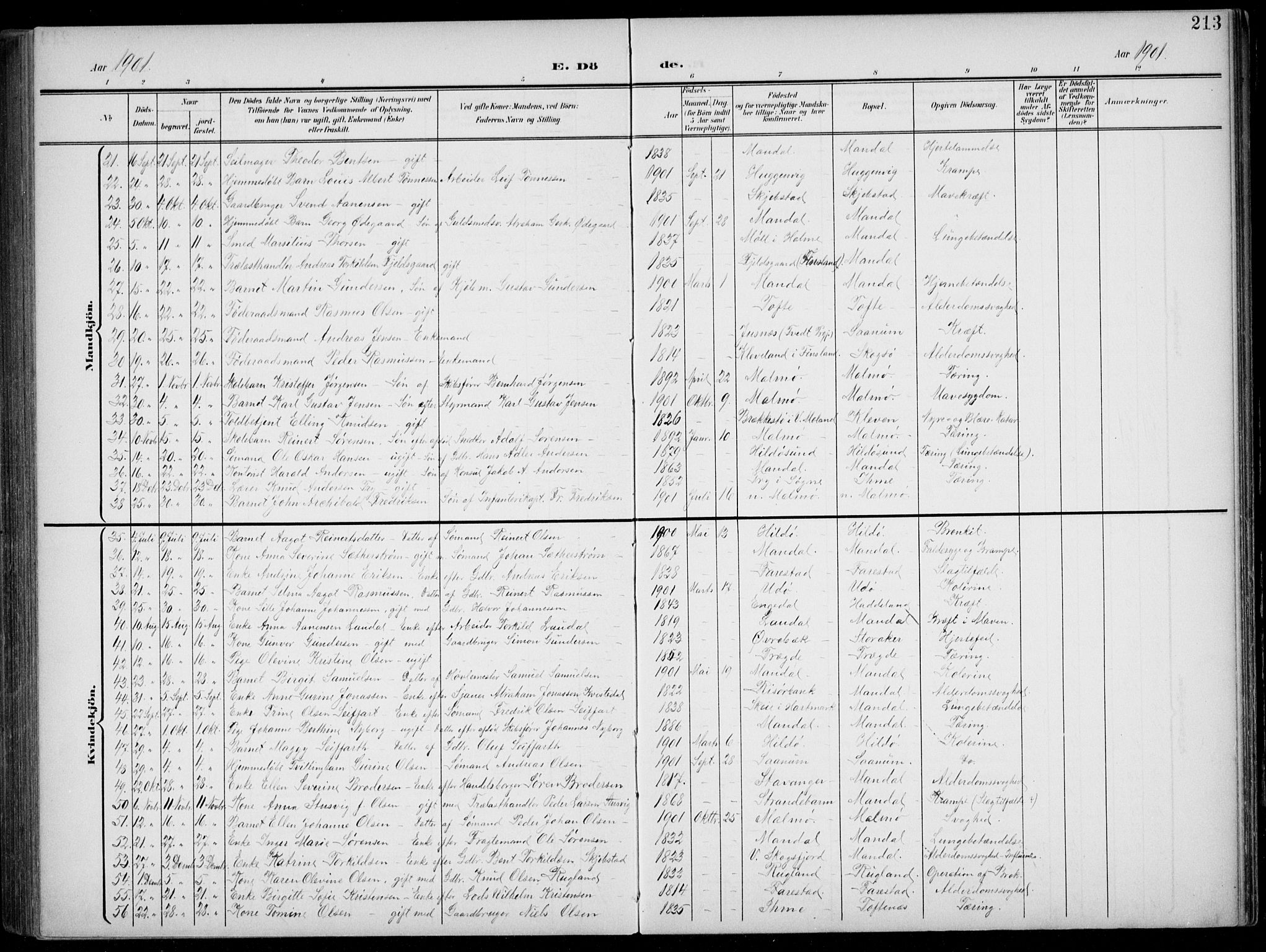 Mandal sokneprestkontor, AV/SAK-1111-0030/F/Fb/Fba/L0012: Parish register (copy) no. B 6, 1899-1918, p. 213