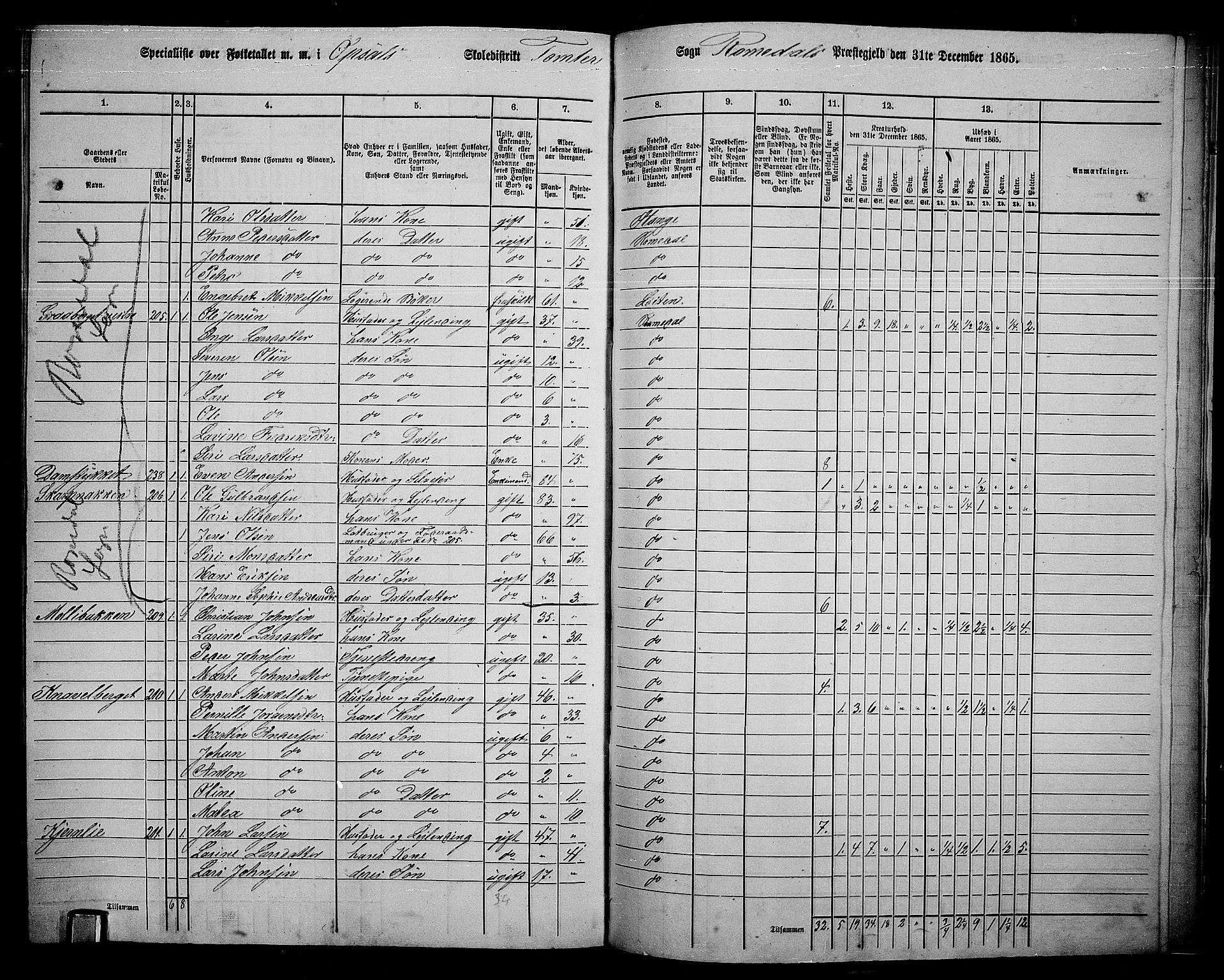 RA, 1865 census for Romedal, 1865, p. 197