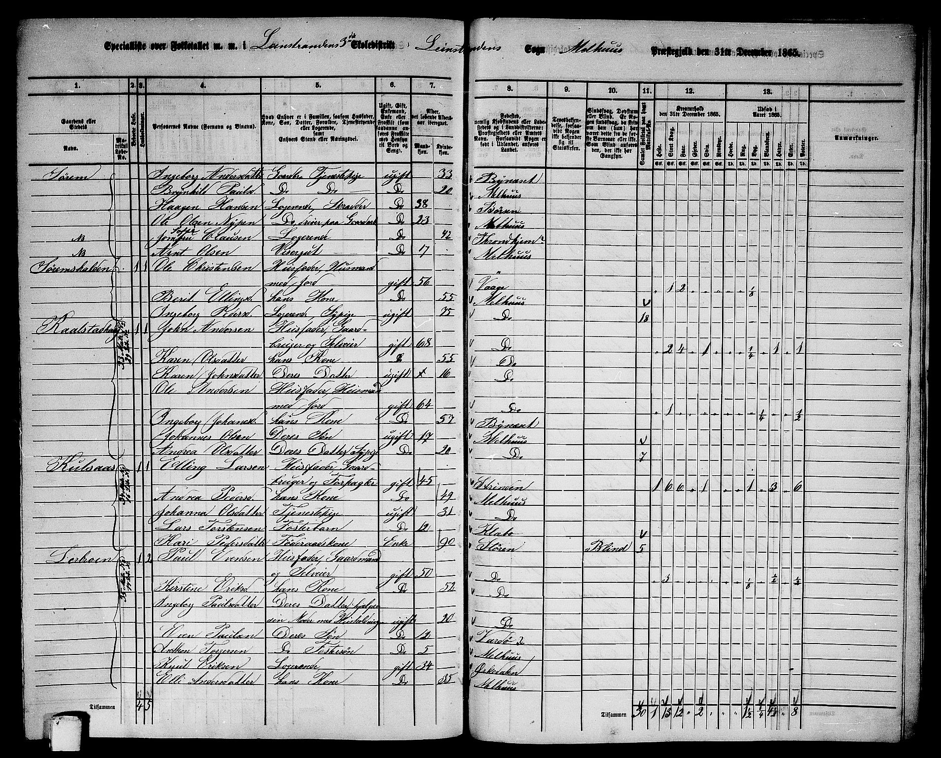 RA, 1865 census for Melhus, 1865, p. 241