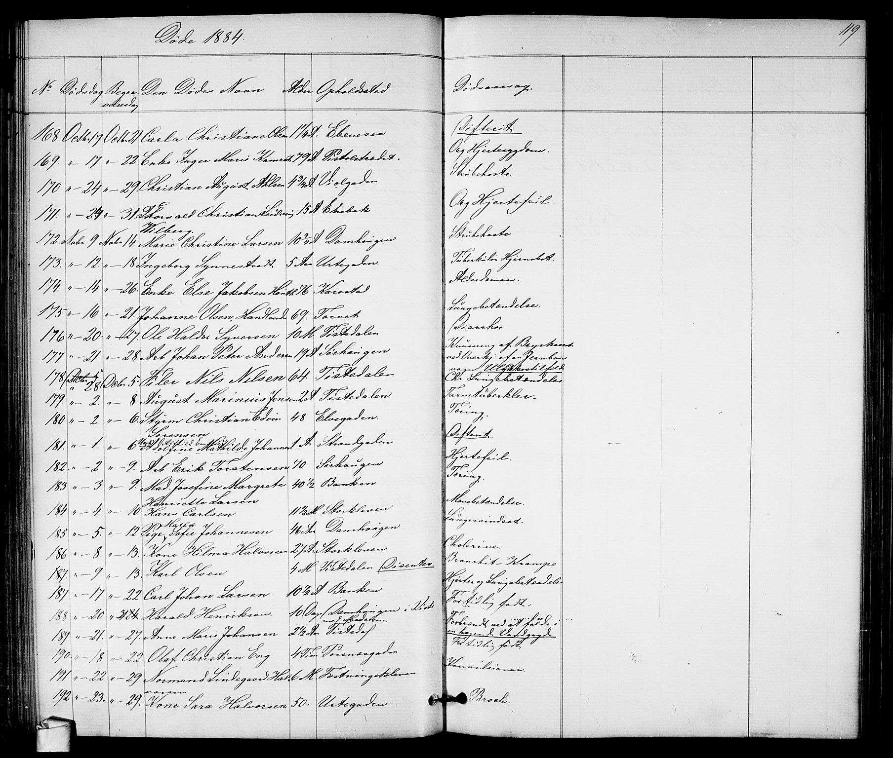 Halden prestekontor Kirkebøker, AV/SAO-A-10909/G/Ga/L0007: Parish register (copy) no. 7, 1869-1884, p. 119