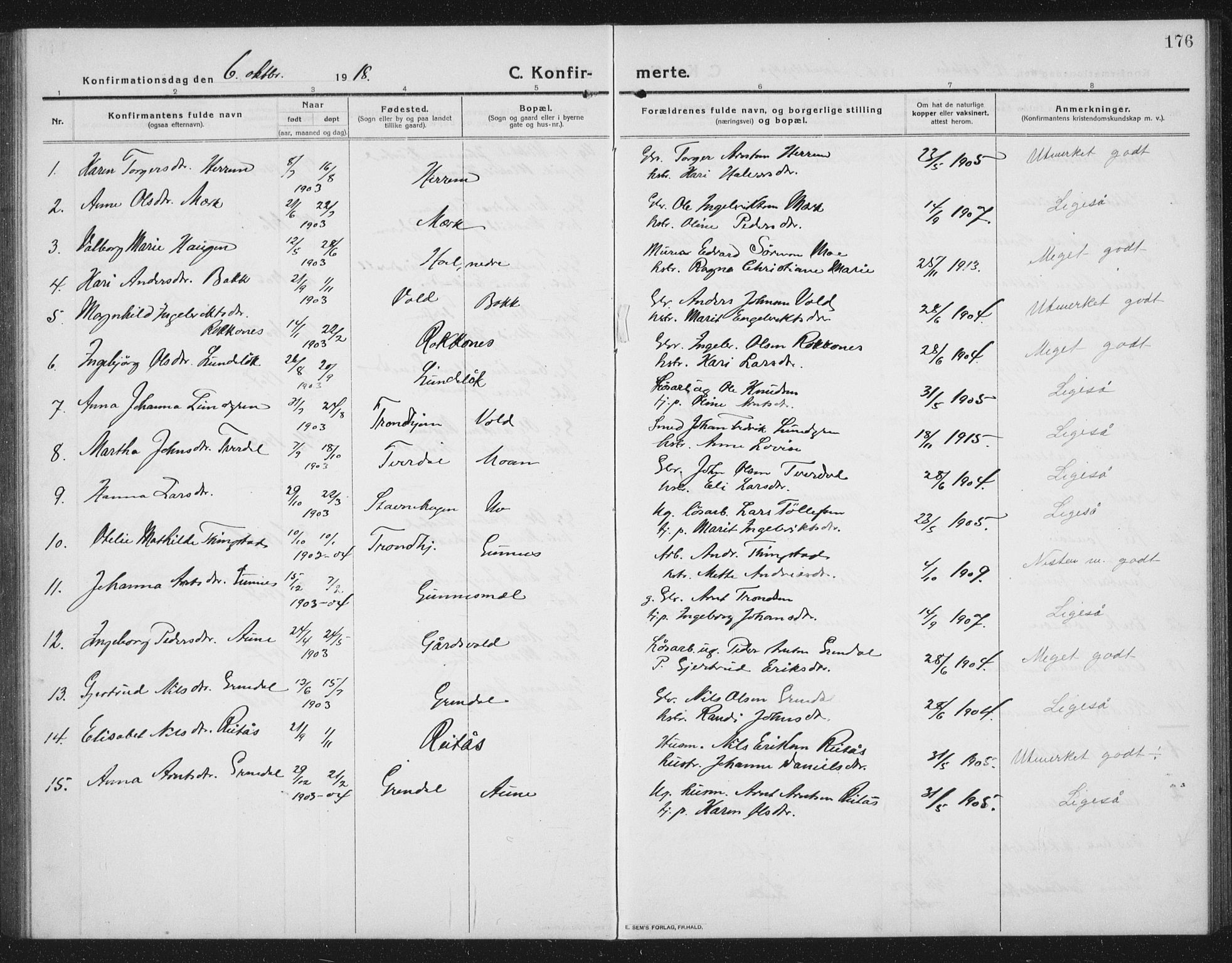 Ministerialprotokoller, klokkerbøker og fødselsregistre - Sør-Trøndelag, SAT/A-1456/674/L0877: Parish register (copy) no. 674C04, 1913-1940, p. 176