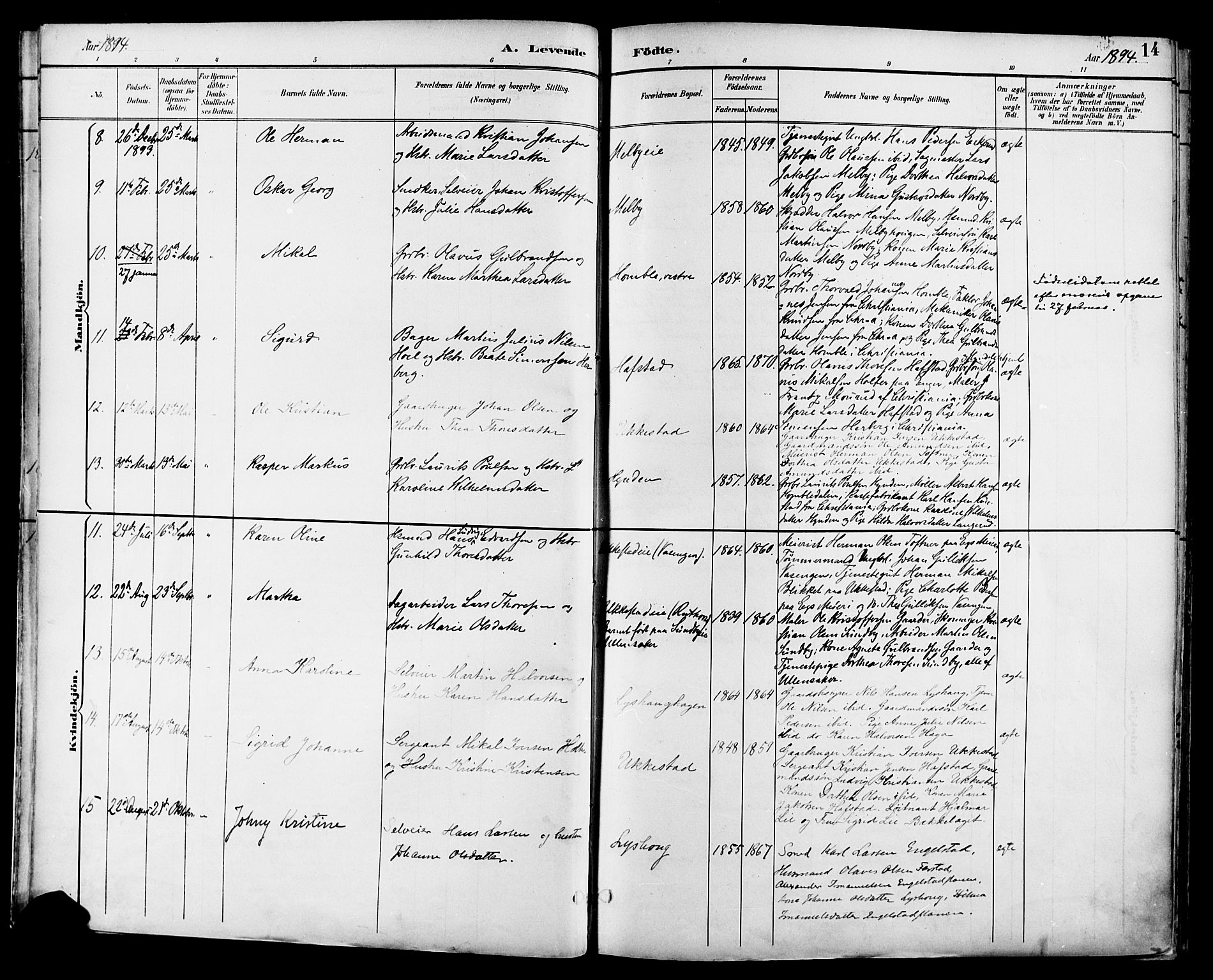 Nannestad prestekontor Kirkebøker, AV/SAO-A-10414a/F/Fa/L0015: Parish register (official) no. I 15, 1891-1905, p. 14