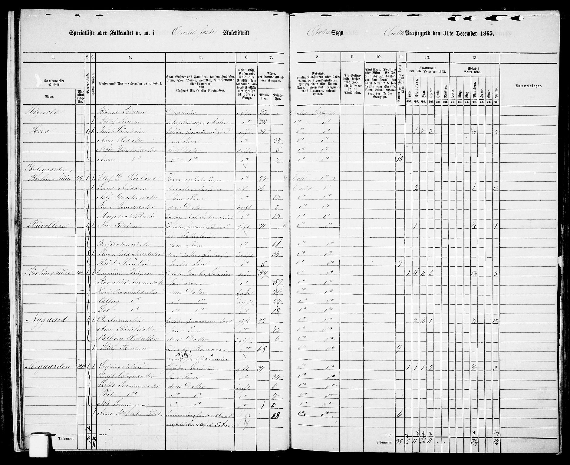 RA, 1865 census for Åmli, 1865, p. 15