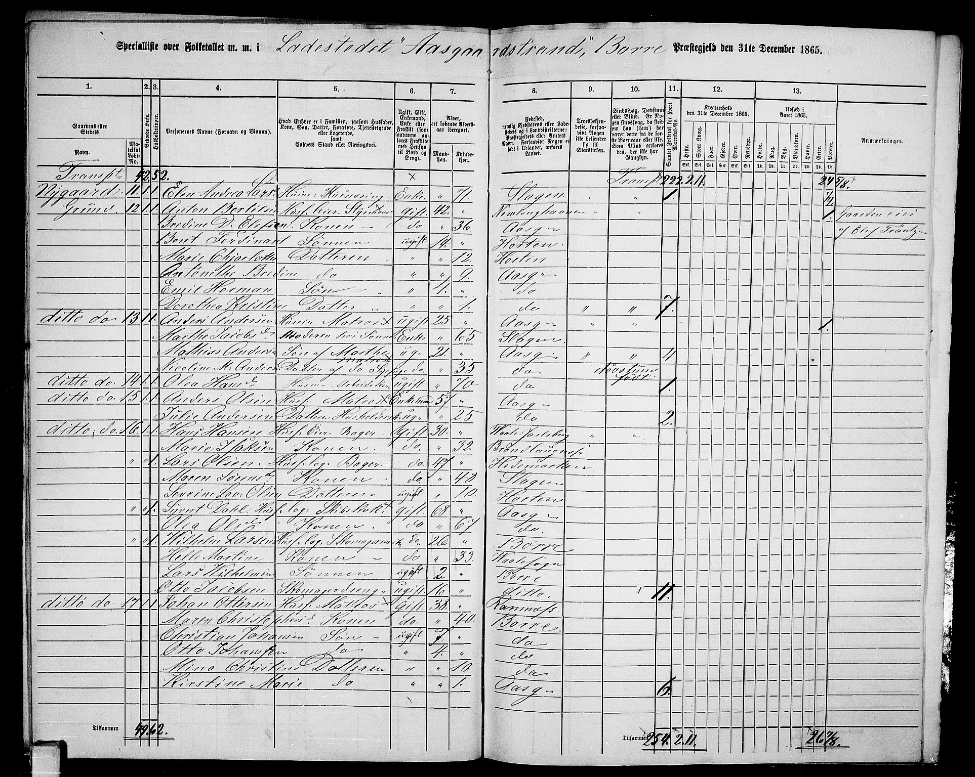 RA, 1865 census for Borre, 1865, p. 13