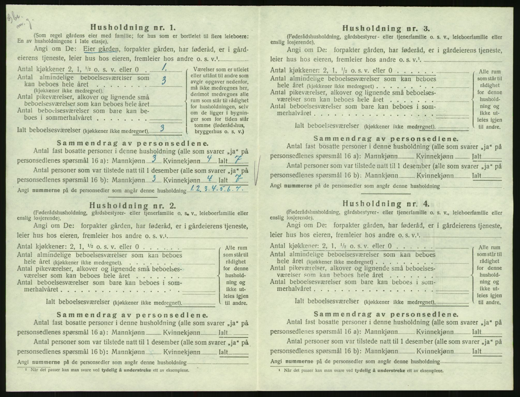 SAK, 1920 census for Hornnes, 1920, p. 498