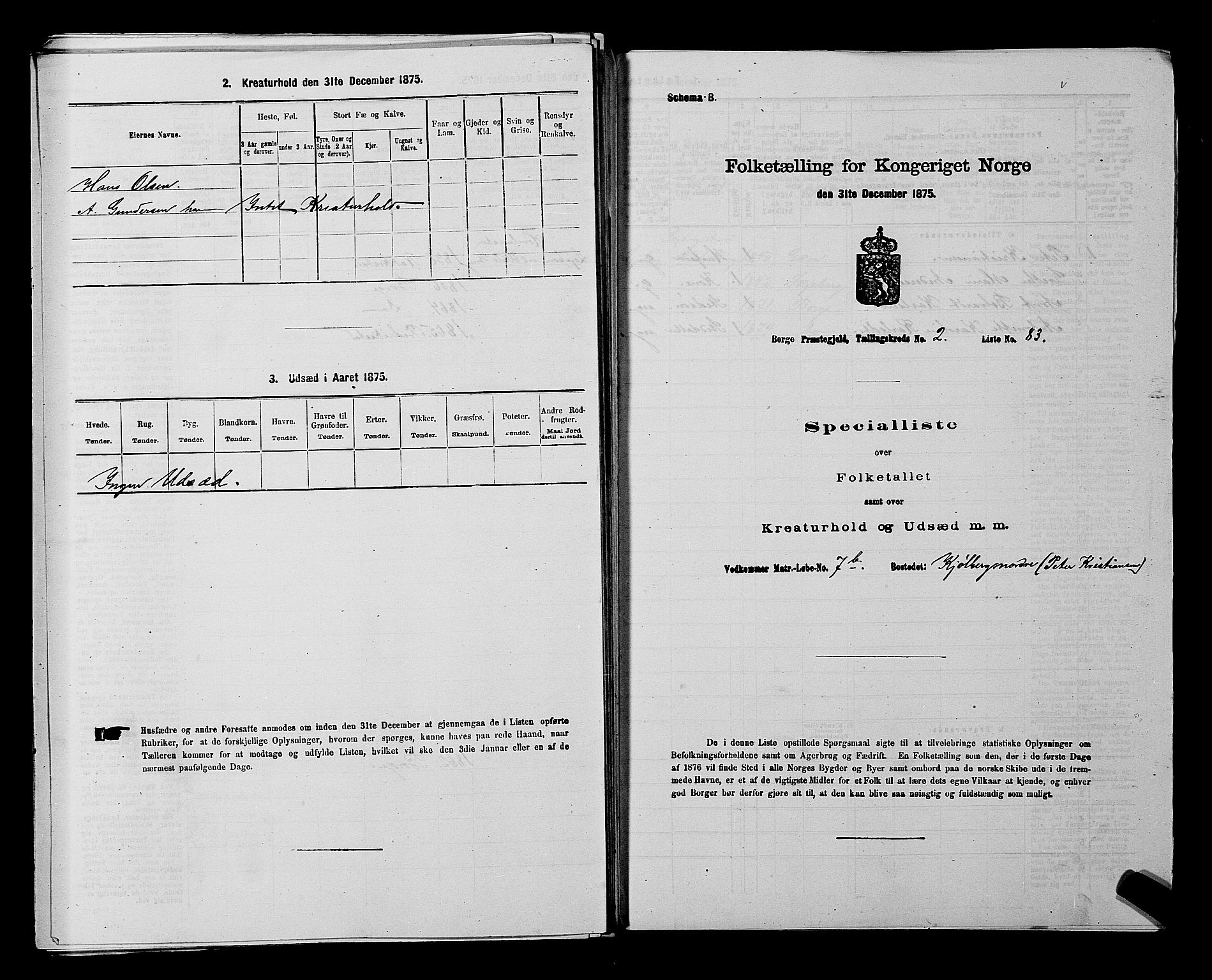 RA, 1875 census for 0113P Borge, 1875, p. 377