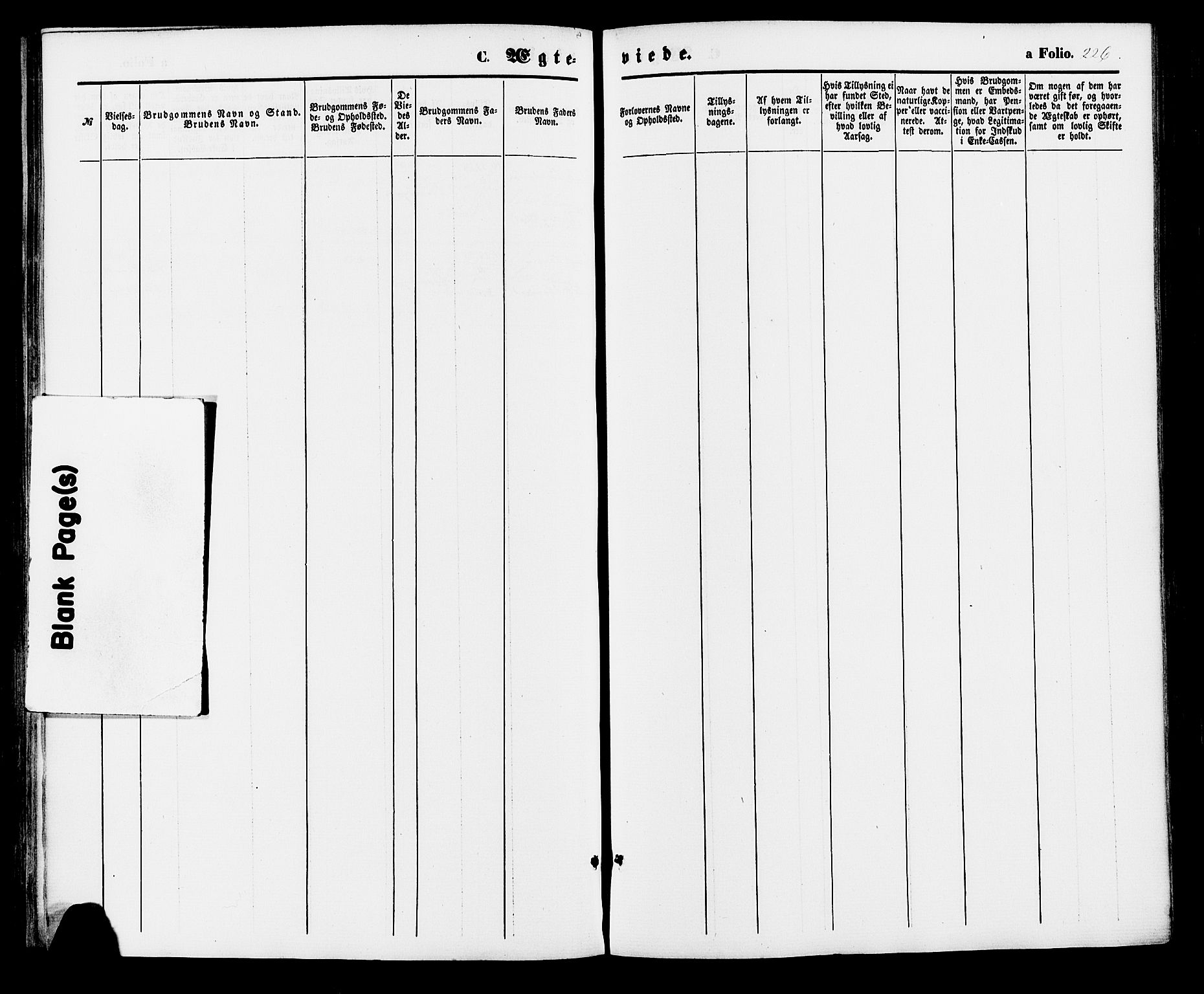 Holum sokneprestkontor, AV/SAK-1111-0022/F/Fa/Faa/L0006: Parish register (official) no. A 6, 1865-1883, p. 226