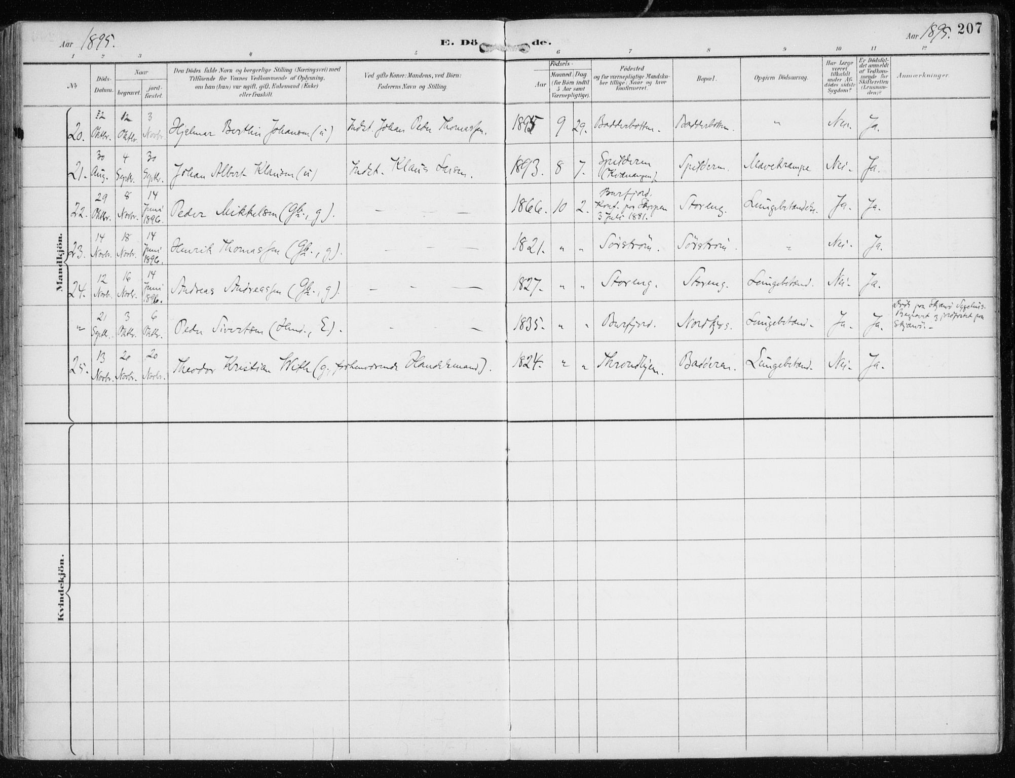 Skjervøy sokneprestkontor, AV/SATØ-S-1300/H/Ha/Haa/L0016kirke: Parish register (official) no. 16, 1892-1908, p. 207