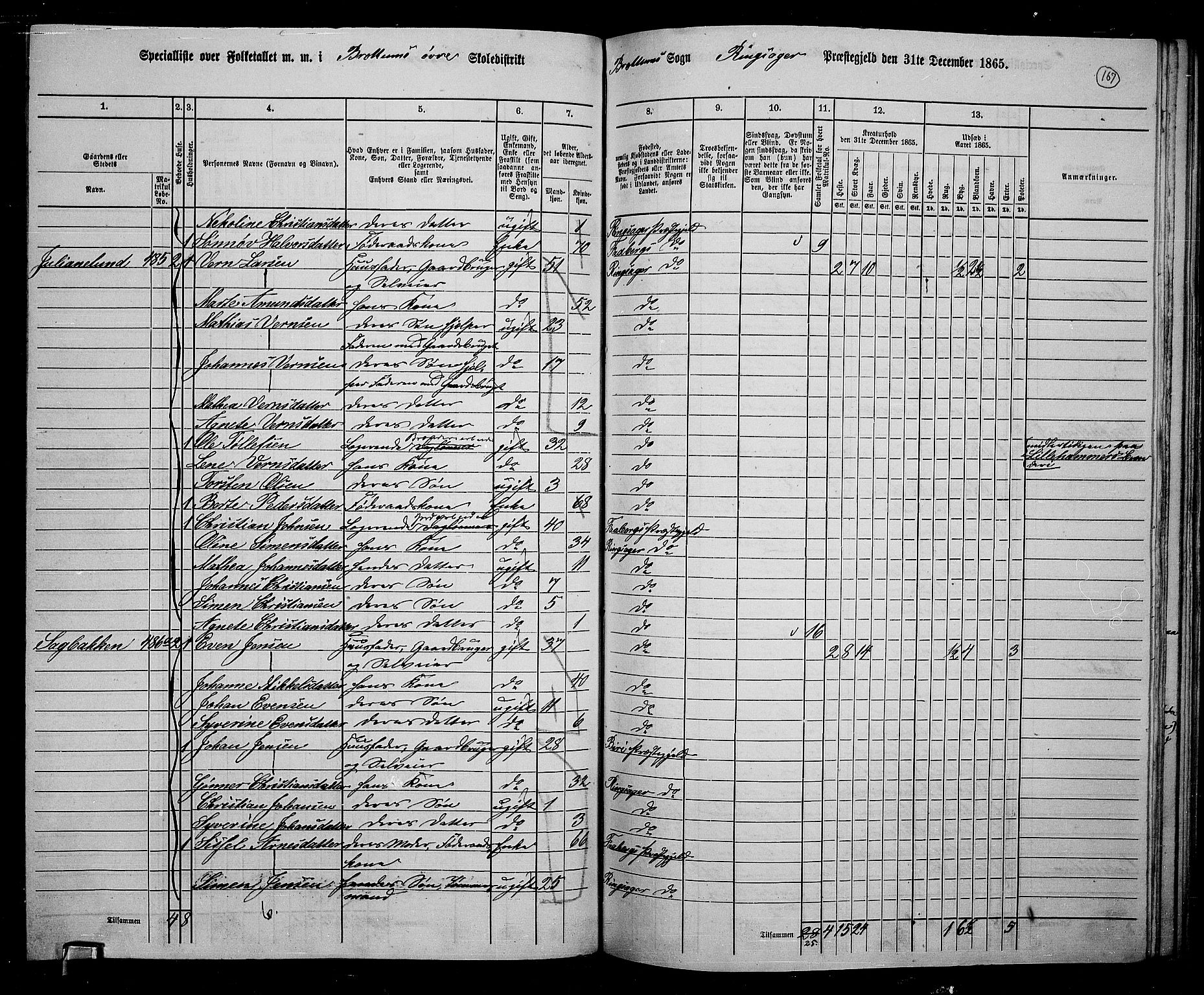 RA, 1865 census for Ringsaker, 1865, p. 411