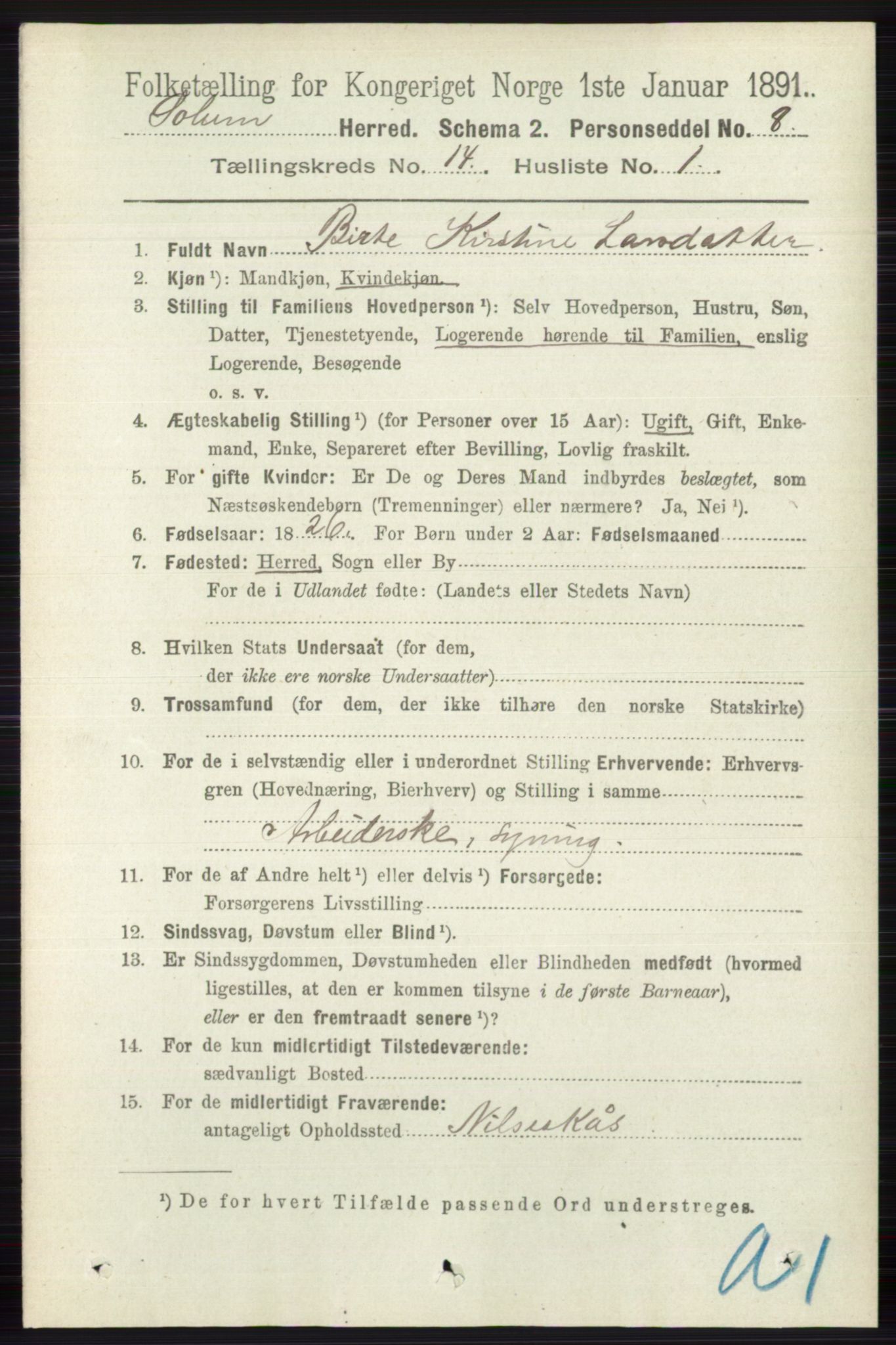 RA, 1891 census for 0818 Solum, 1891, p. 6368