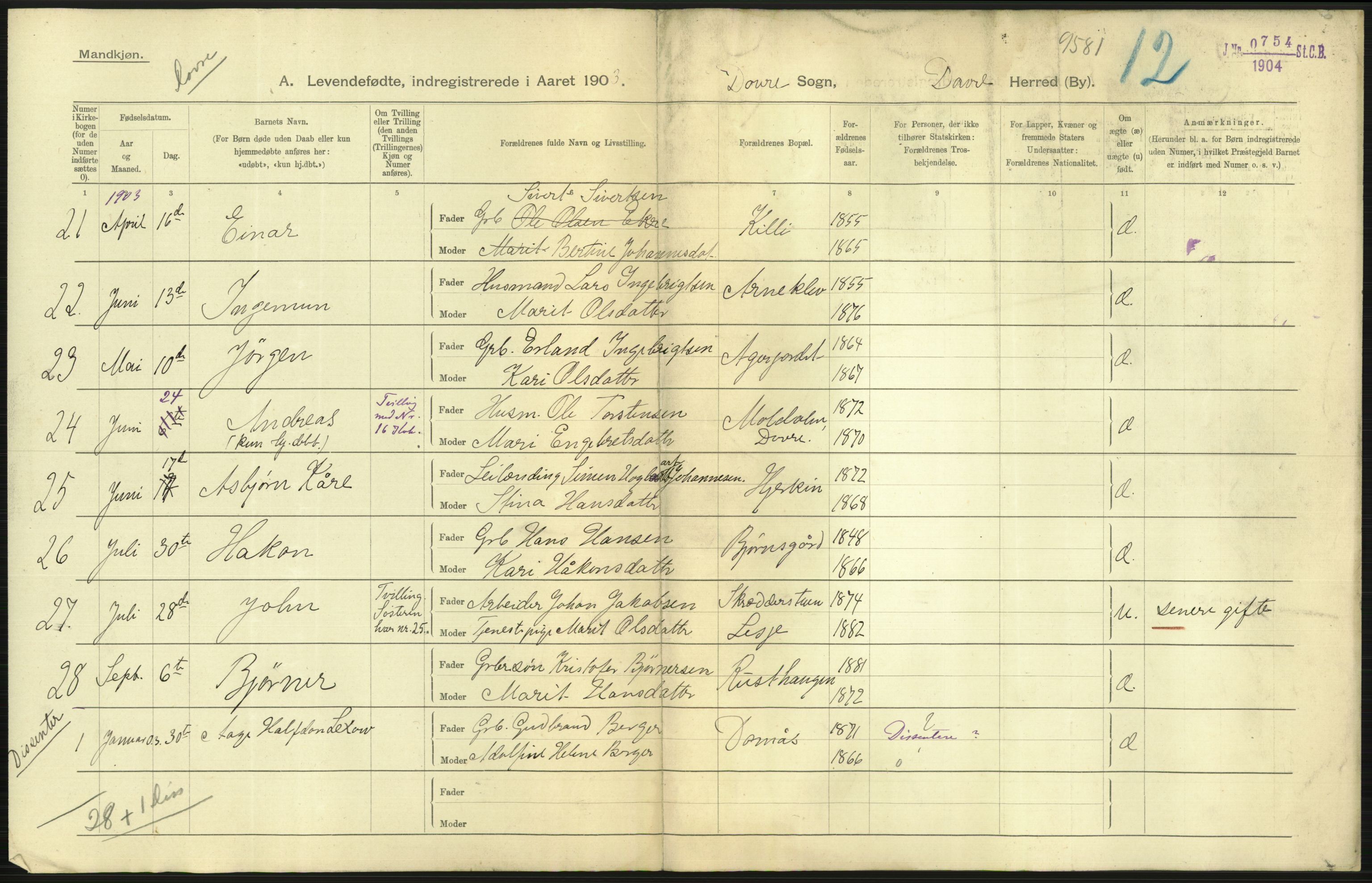 Statistisk sentralbyrå, Sosiodemografiske emner, Befolkning, AV/RA-S-2228/D/Df/Dfa/Dfaa/L0006: Kristians amt: Fødte, gifte, døde, 1903, p. 7