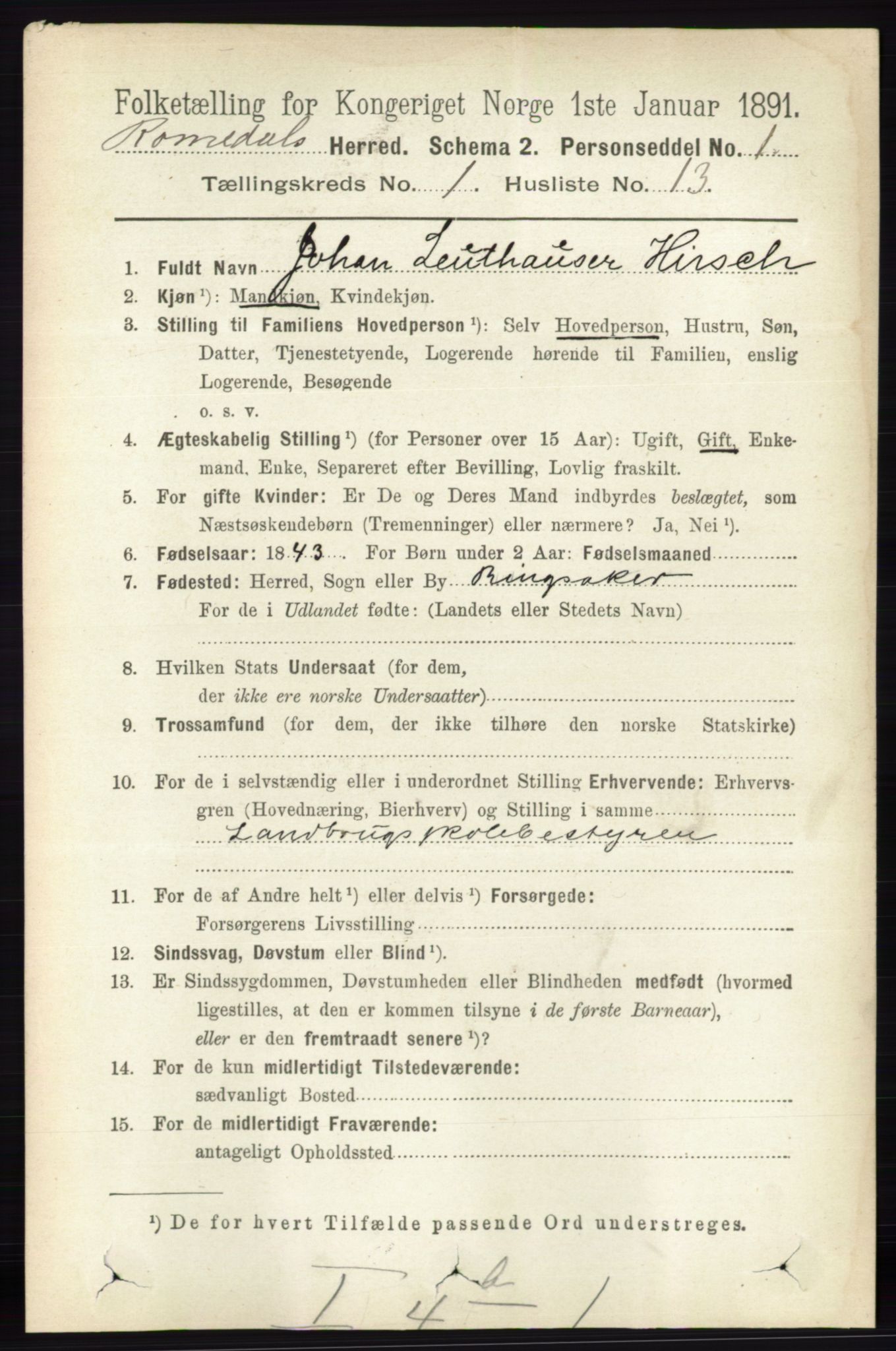 RA, 1891 census for 0416 Romedal, 1891, p. 205