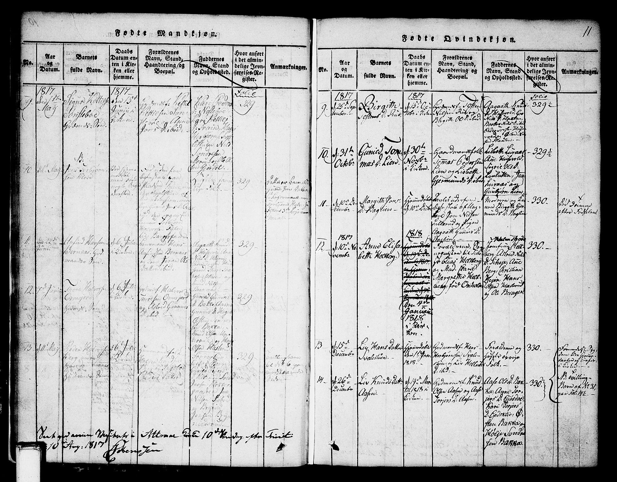 Tinn kirkebøker, SAKO/A-308/G/Ga/L0001: Parish register (copy) no. I 1, 1815-1850, p. 11