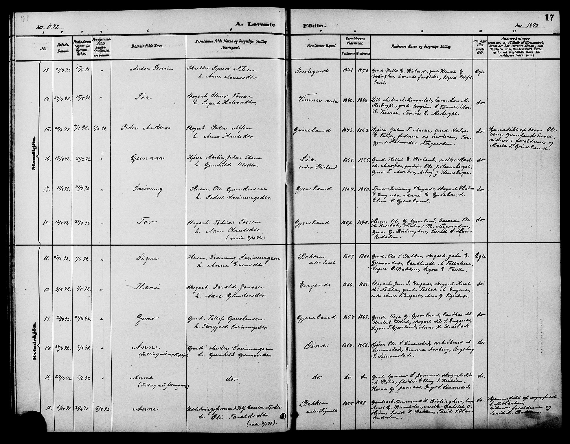 Åmli sokneprestkontor, SAK/1111-0050/F/Fb/Fbc/L0004: Parish register (copy) no. B 4, 1889-1902, p. 17
