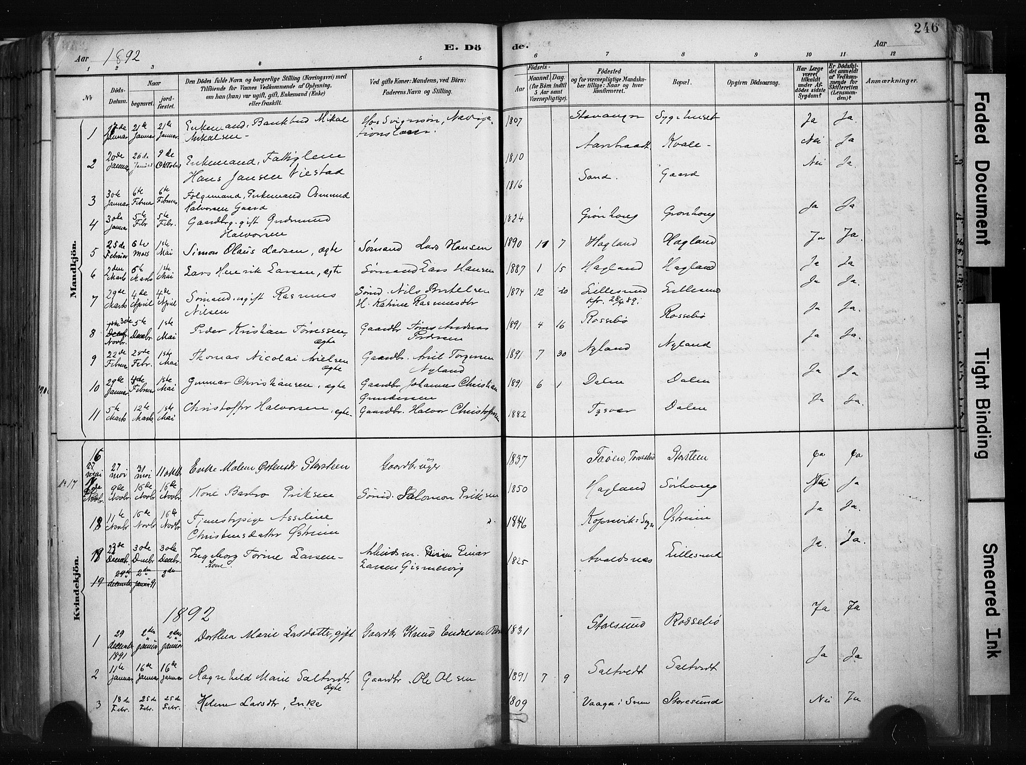 Haugesund sokneprestkontor, SAST/A -101863/H/Ha/Haa/L0004: Parish register (official) no. A 4, 1886-1908, p. 246