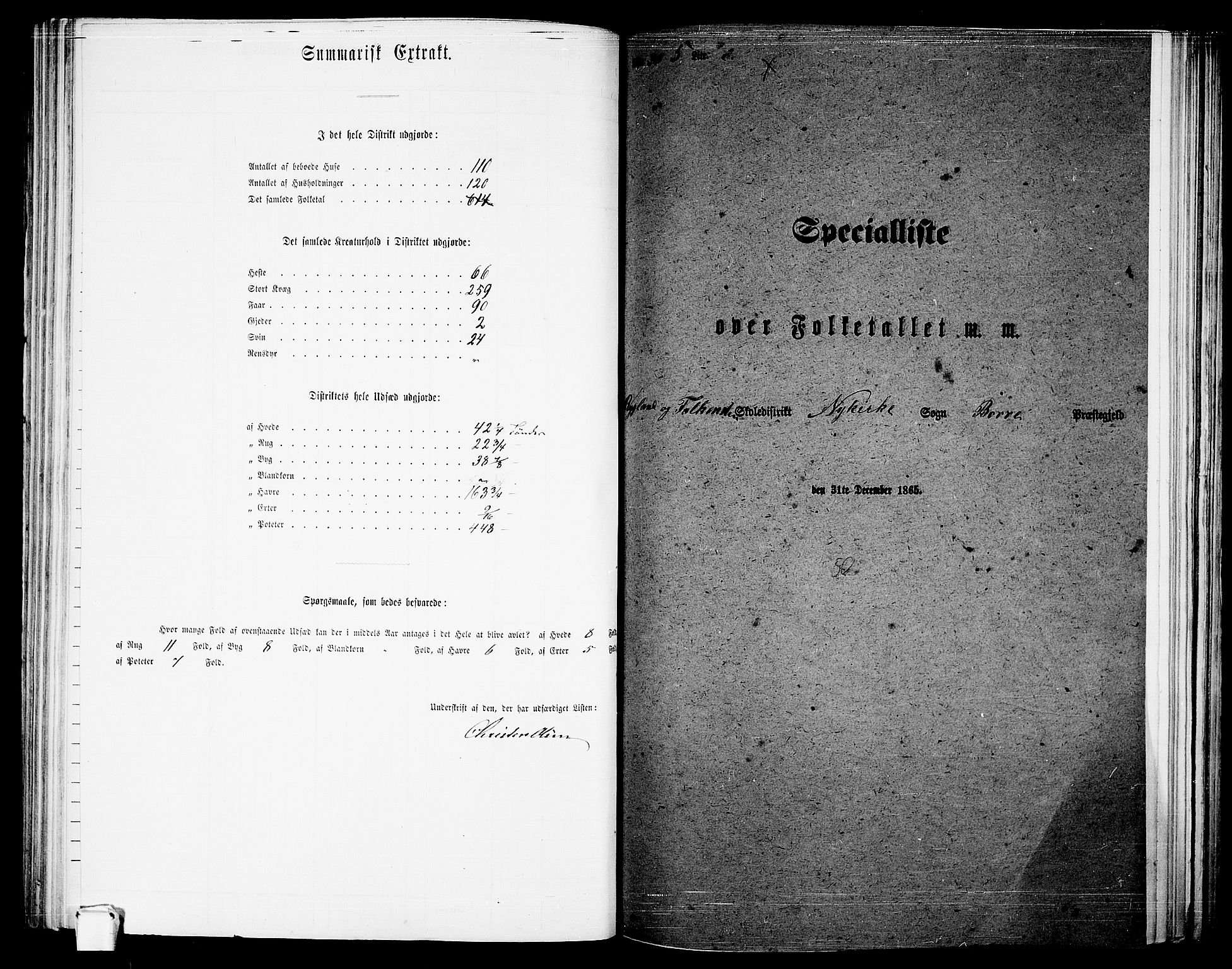 RA, 1865 census for Borre, 1865, p. 125