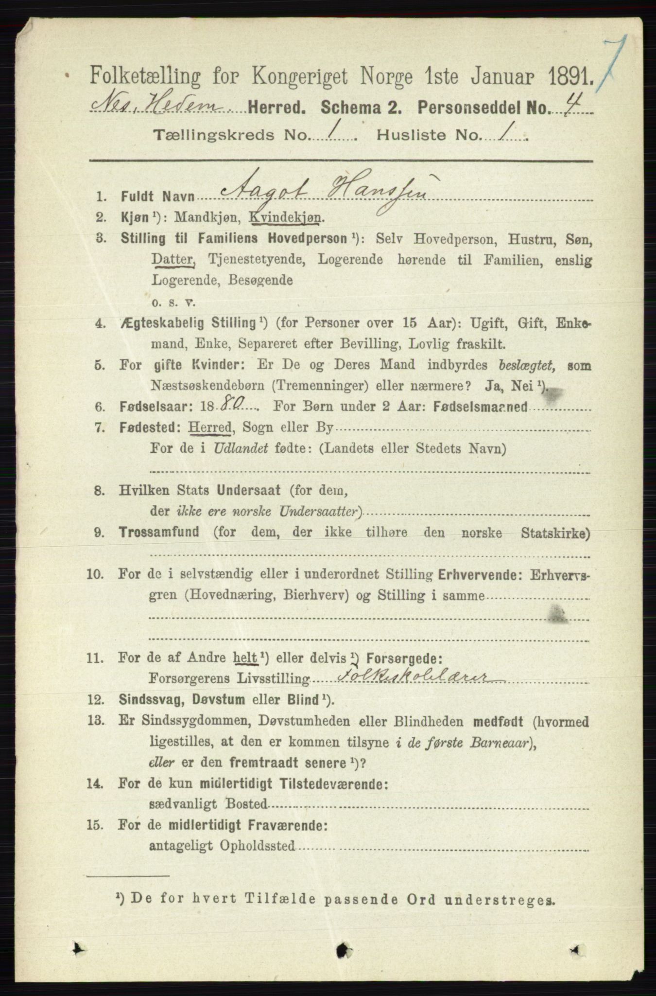 RA, 1891 census for 0411 Nes, 1891, p. 162