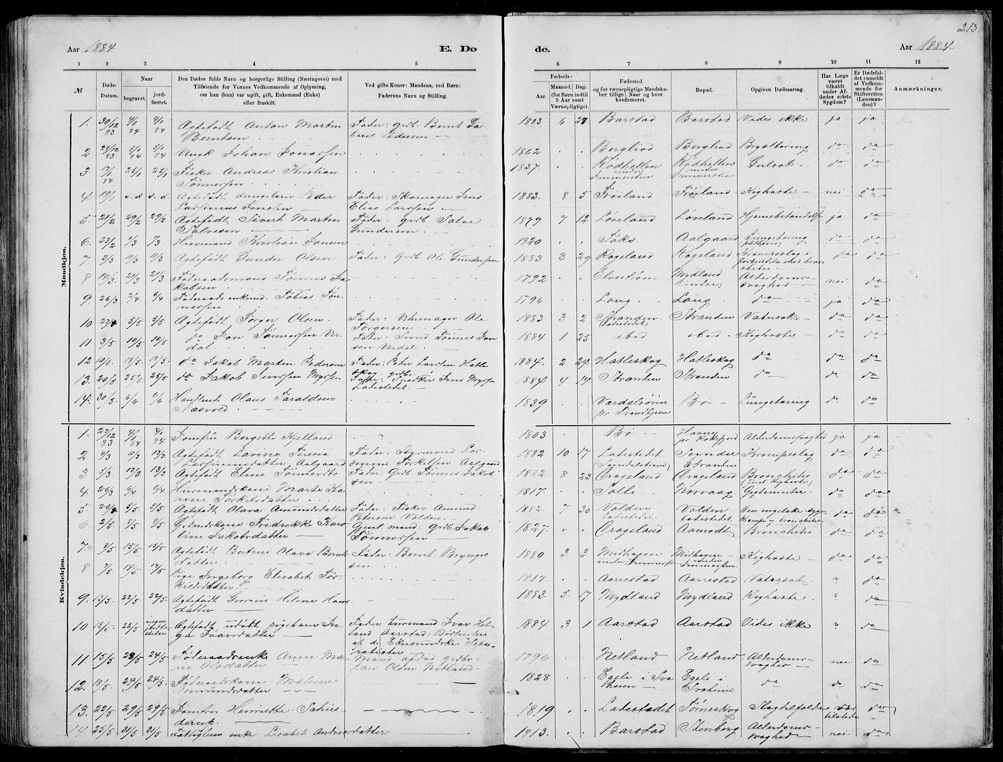 Sokndal sokneprestkontor, SAST/A-101808: Parish register (copy) no. B 4, 1880-1891, p. 213