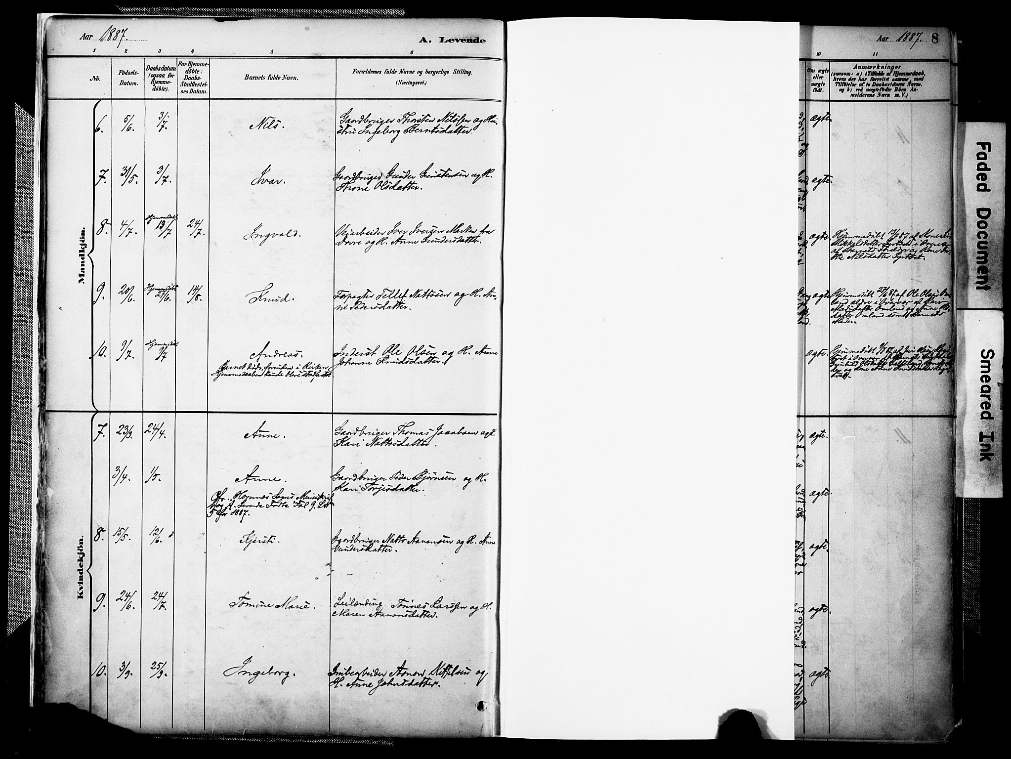 Evje sokneprestkontor, AV/SAK-1111-0008/F/Fa/Faa/L0007: Parish register (official) no. A 7, 1884-1909, p. 8