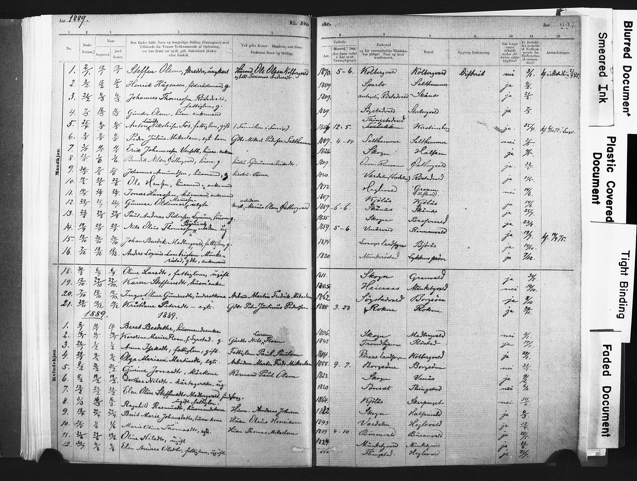 Ministerialprotokoller, klokkerbøker og fødselsregistre - Nord-Trøndelag, SAT/A-1458/721/L0207: Parish register (official) no. 721A02, 1880-1911, p. 227