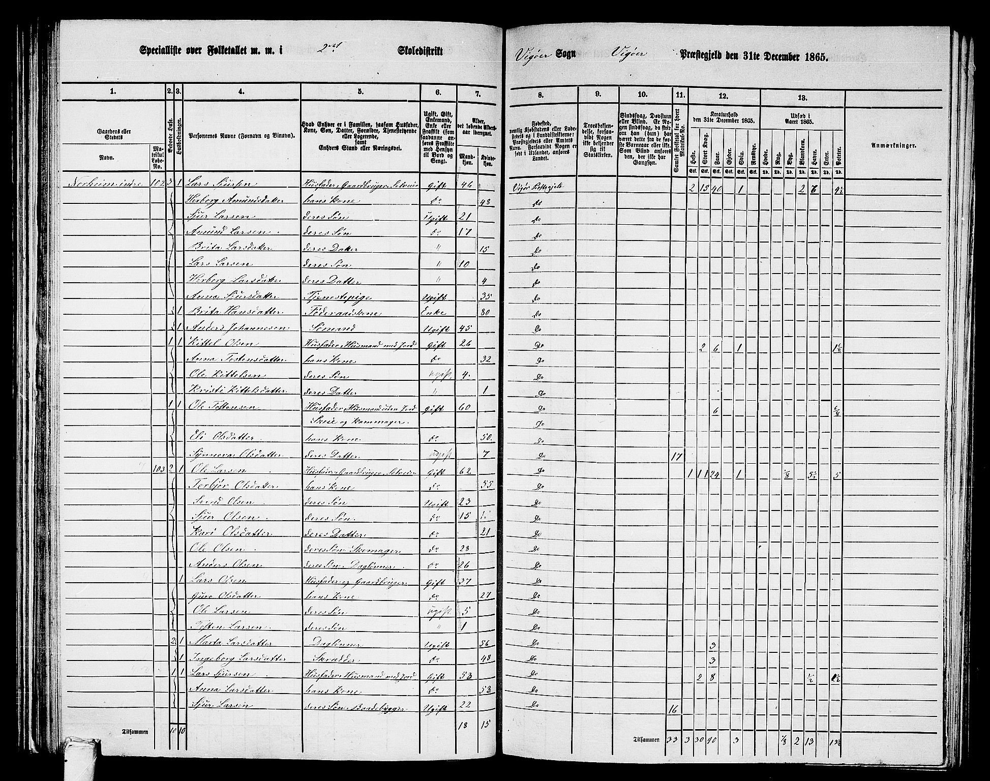 RA, 1865 census for Vikør, 1865, p. 29