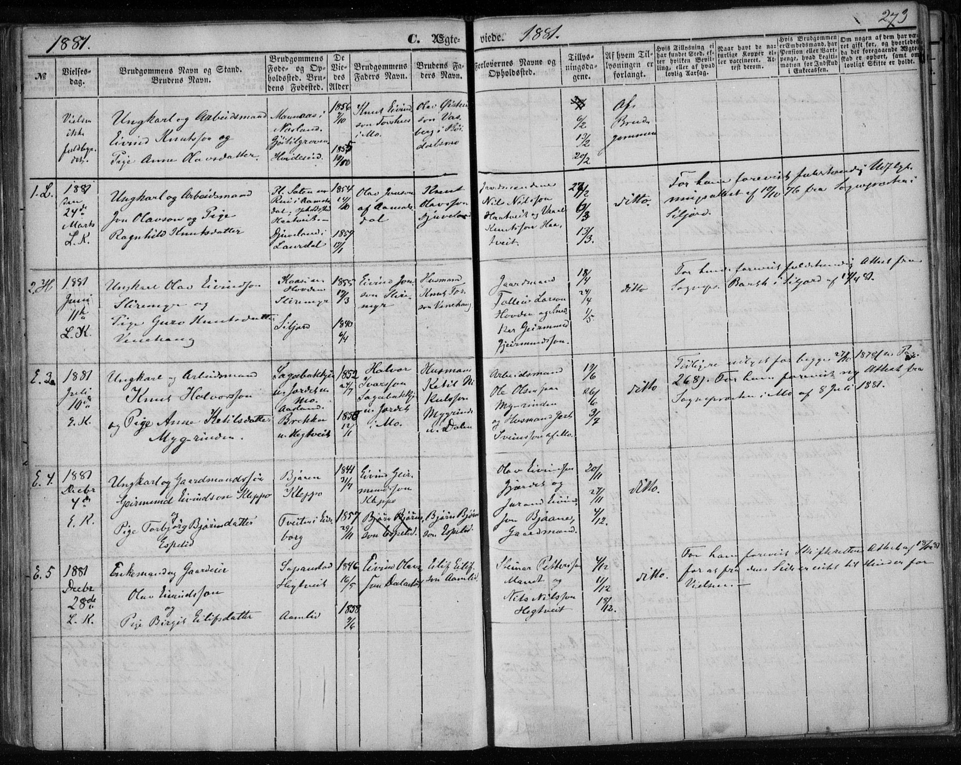 Lårdal kirkebøker, SAKO/A-284/F/Fa/L0006: Parish register (official) no. I 6, 1861-1886, p. 273