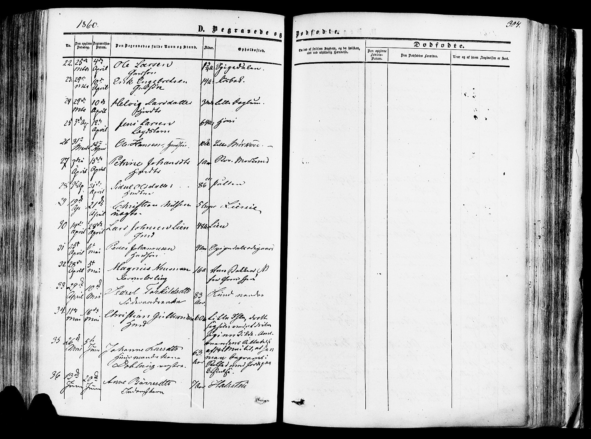 Vang prestekontor, Hedmark, SAH/PREST-008/H/Ha/Haa/L0013: Parish register (official) no. 13, 1855-1879, p. 304
