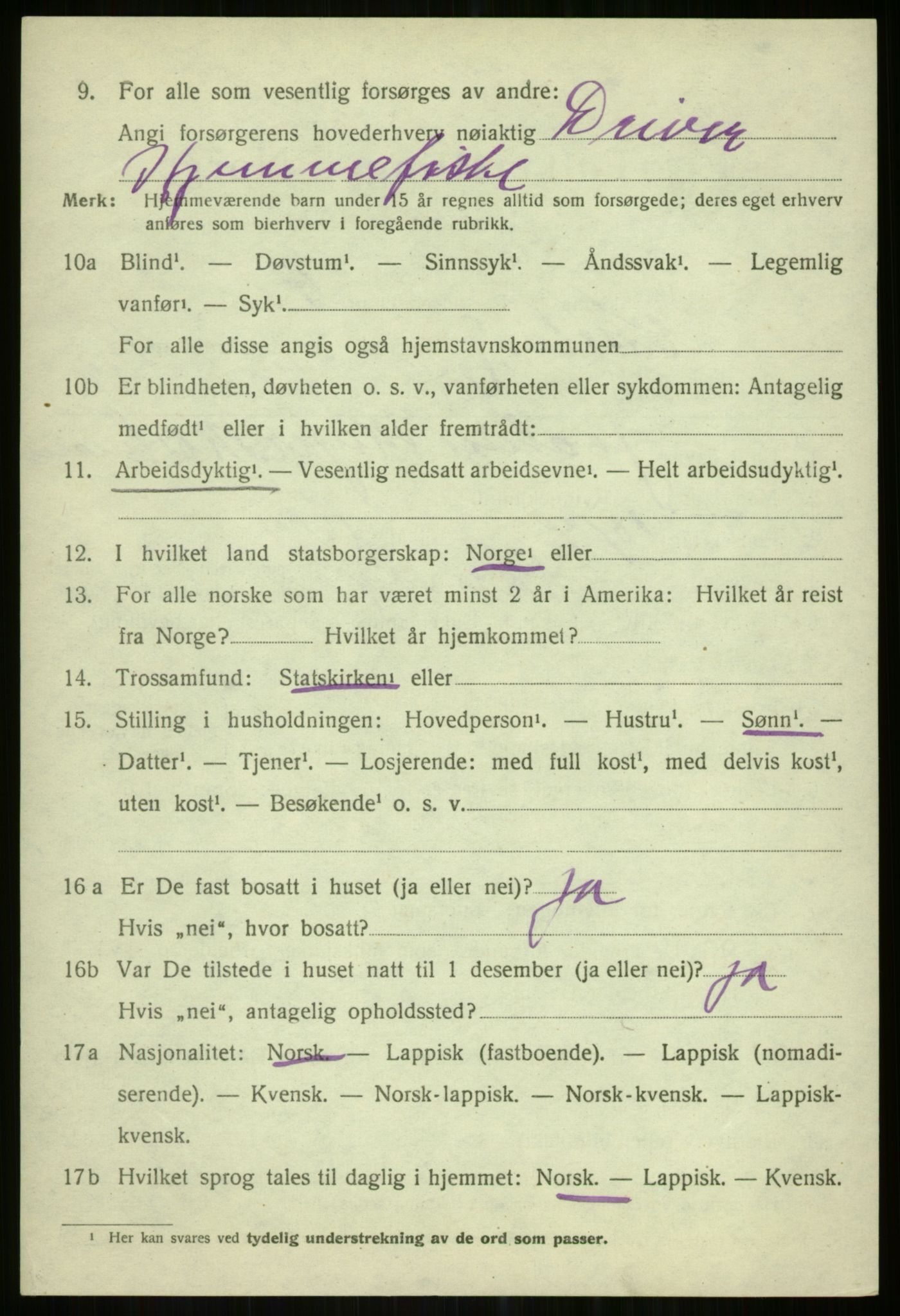 SATØ, 1920 census for Karlsøy, 1920, p. 5011