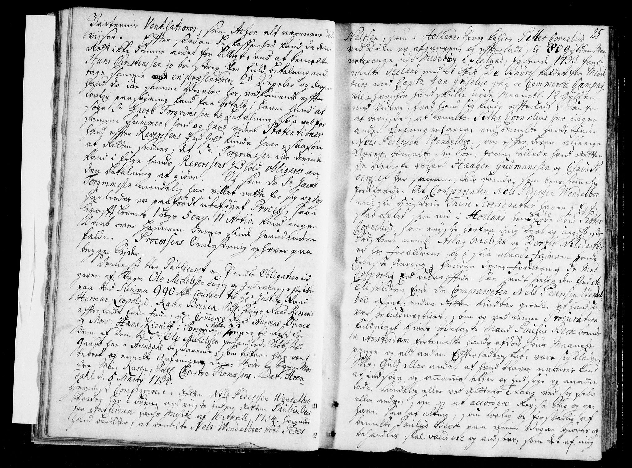 Arendal byfogd, AV/SAK-1222-0001/F/Fa/L0006: Justisprotokoll for Arendal og Risør, 1734-1736, p. 24b-25a