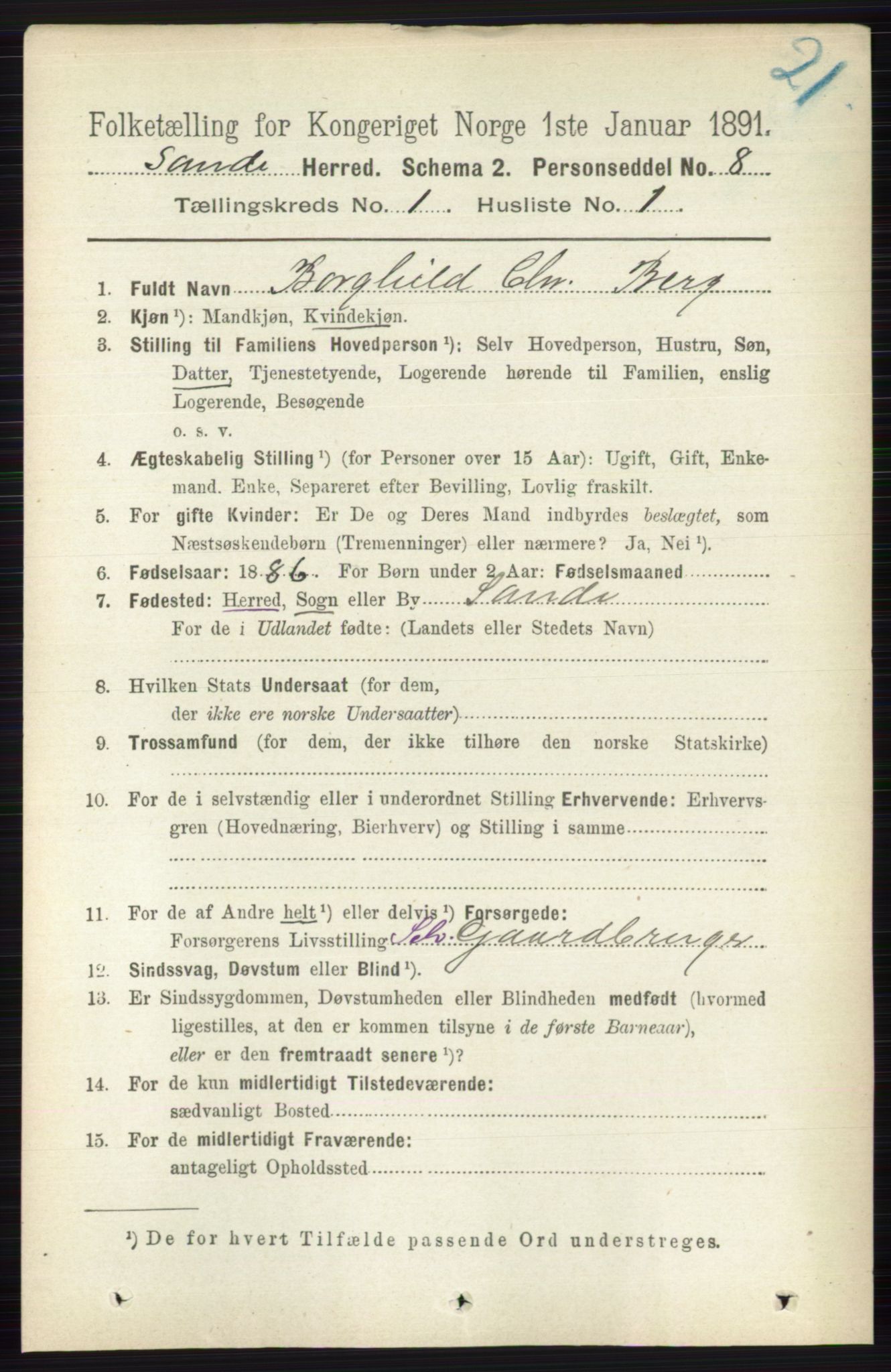 RA, 1891 census for 0713 Sande, 1891, p. 100