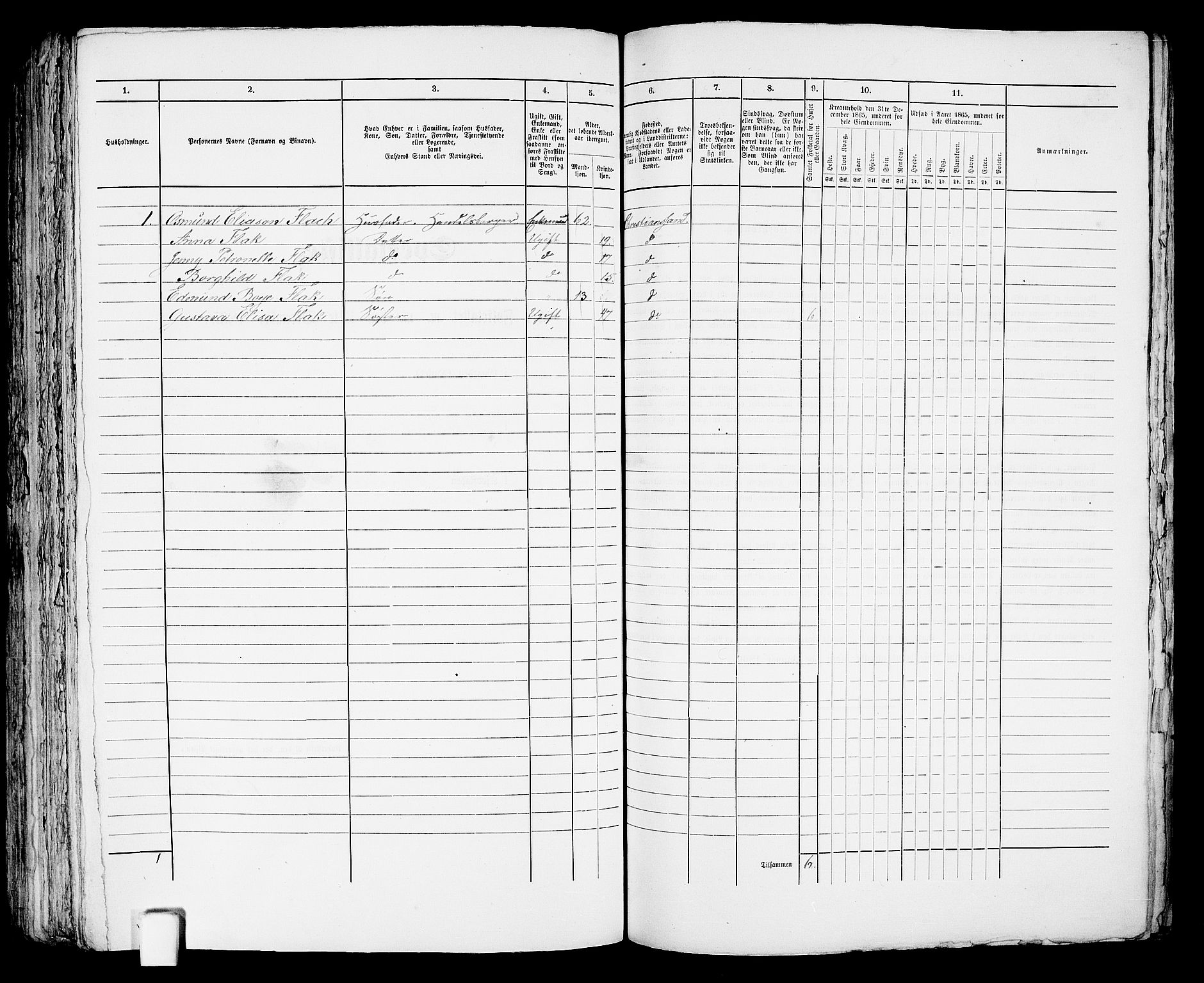 RA, 1865 census for Kristiansand, 1865, p. 335