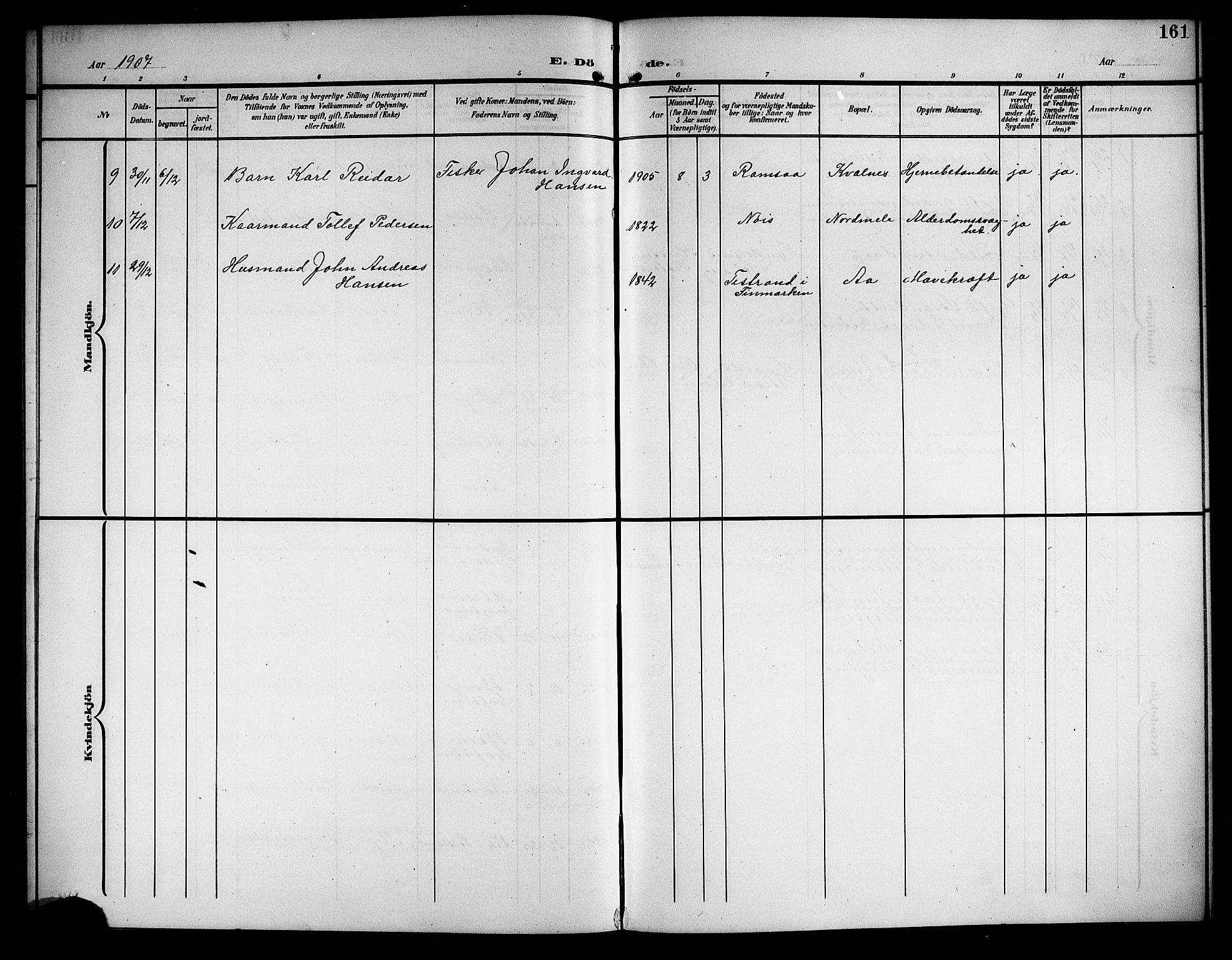 Ministerialprotokoller, klokkerbøker og fødselsregistre - Nordland, AV/SAT-A-1459/897/L1414: Parish register (copy) no. 897C04, 1904-1915, p. 161