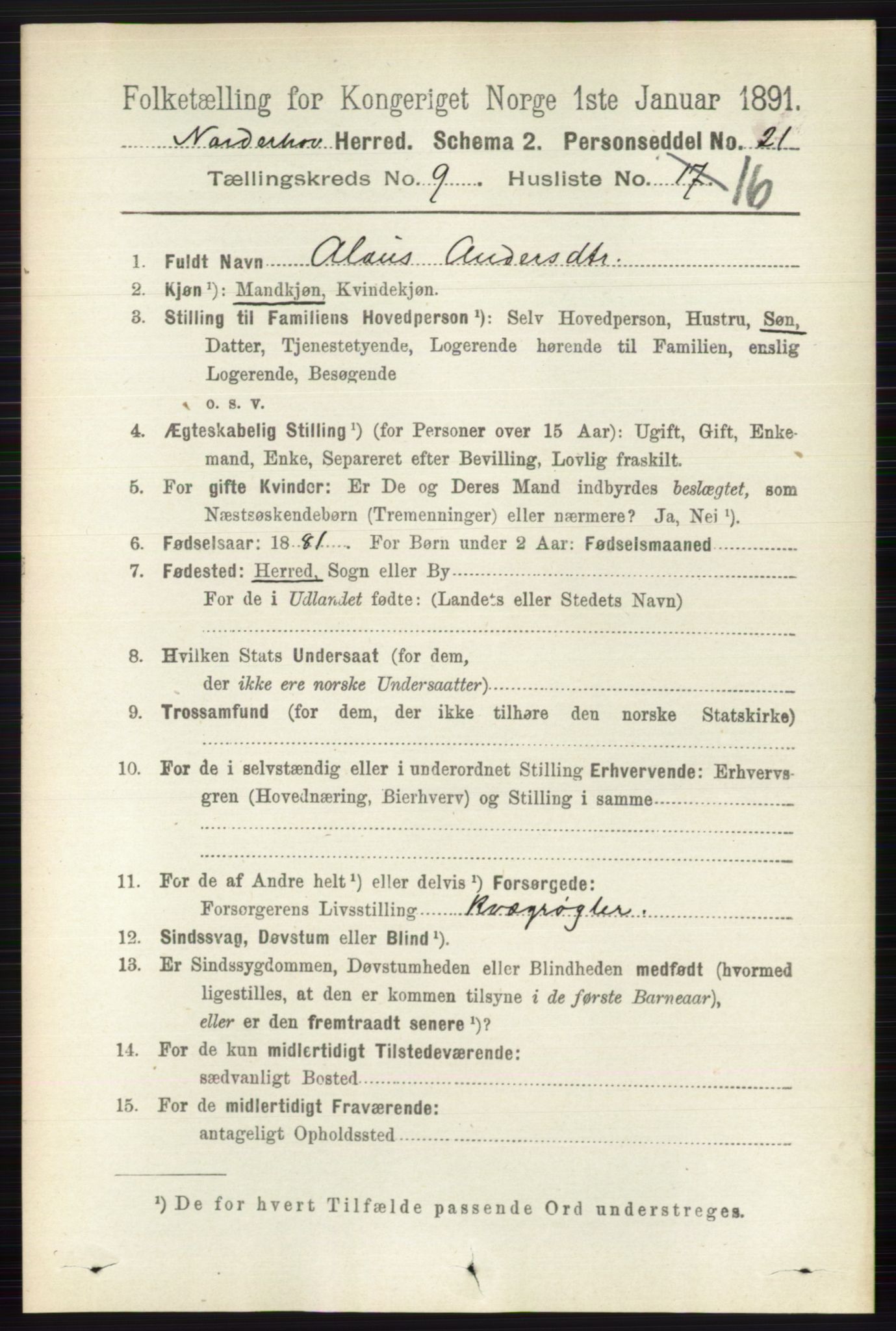 RA, 1891 census for 0613 Norderhov, 1891, p. 6706