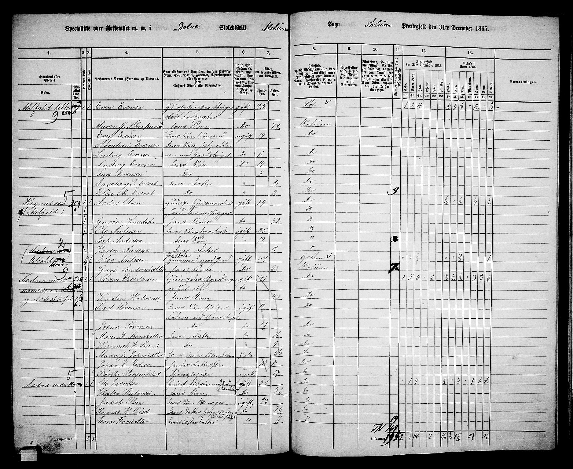 RA, 1865 census for Solum, 1865, p. 199