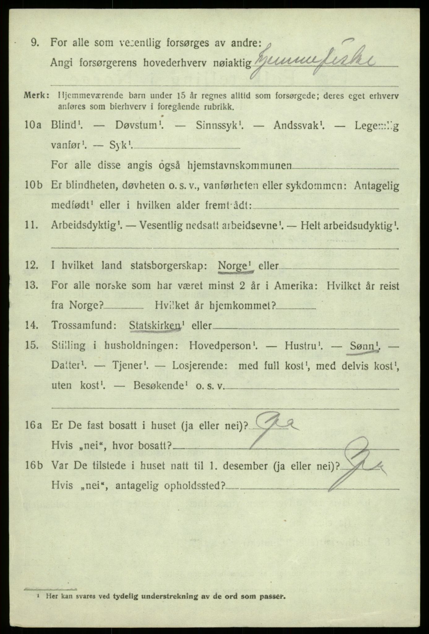 SAB, 1920 census for Fjell, 1920, p. 5211