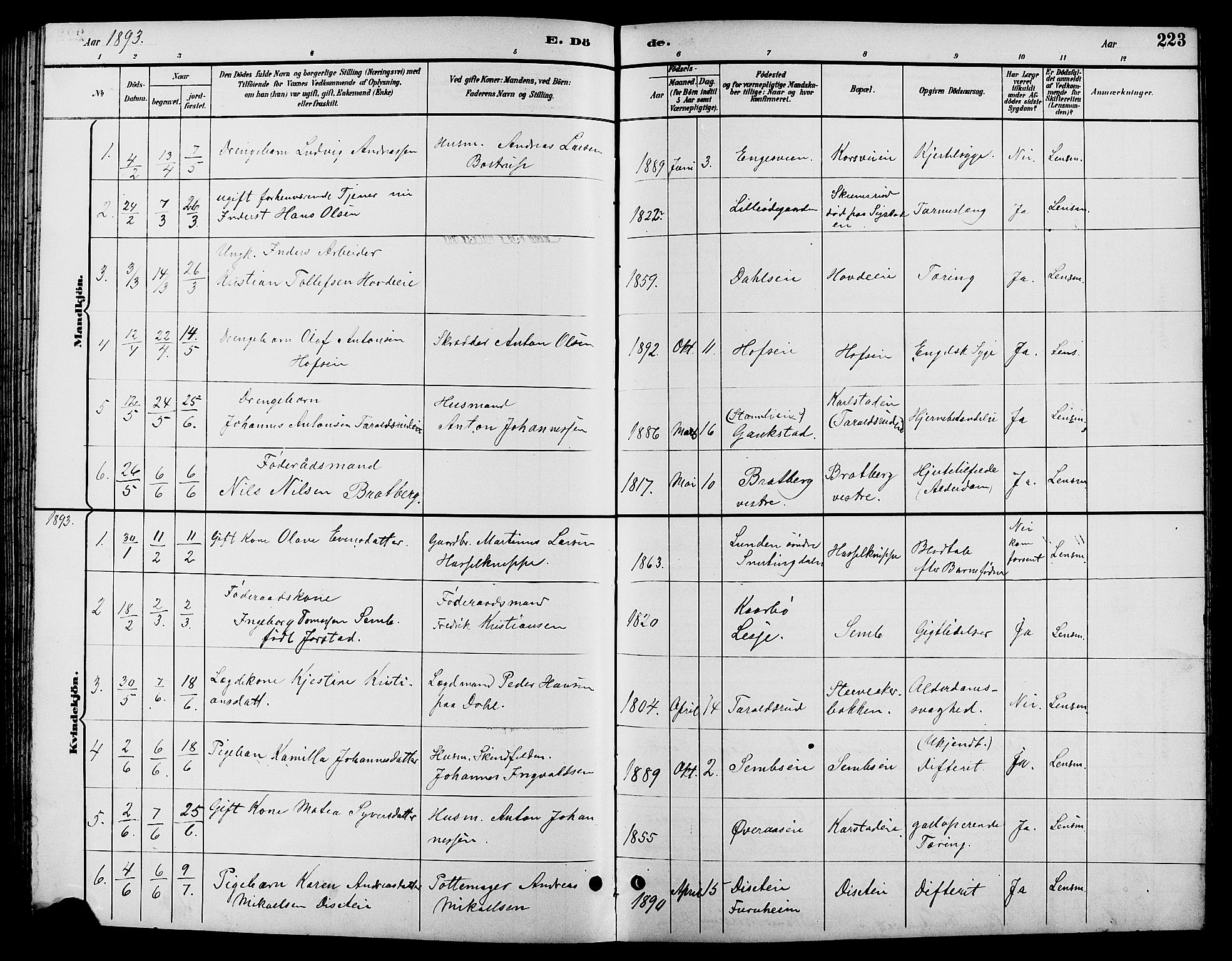 Biri prestekontor, SAH/PREST-096/H/Ha/Hab/L0004: Parish register (copy) no. 4, 1892-1909, p. 223