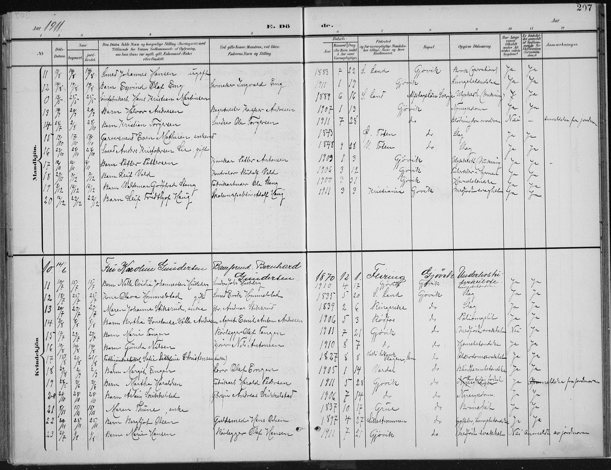 Vardal prestekontor, AV/SAH-PREST-100/H/Ha/Haa/L0013: Parish register (official) no. 13, 1901-1911, p. 207