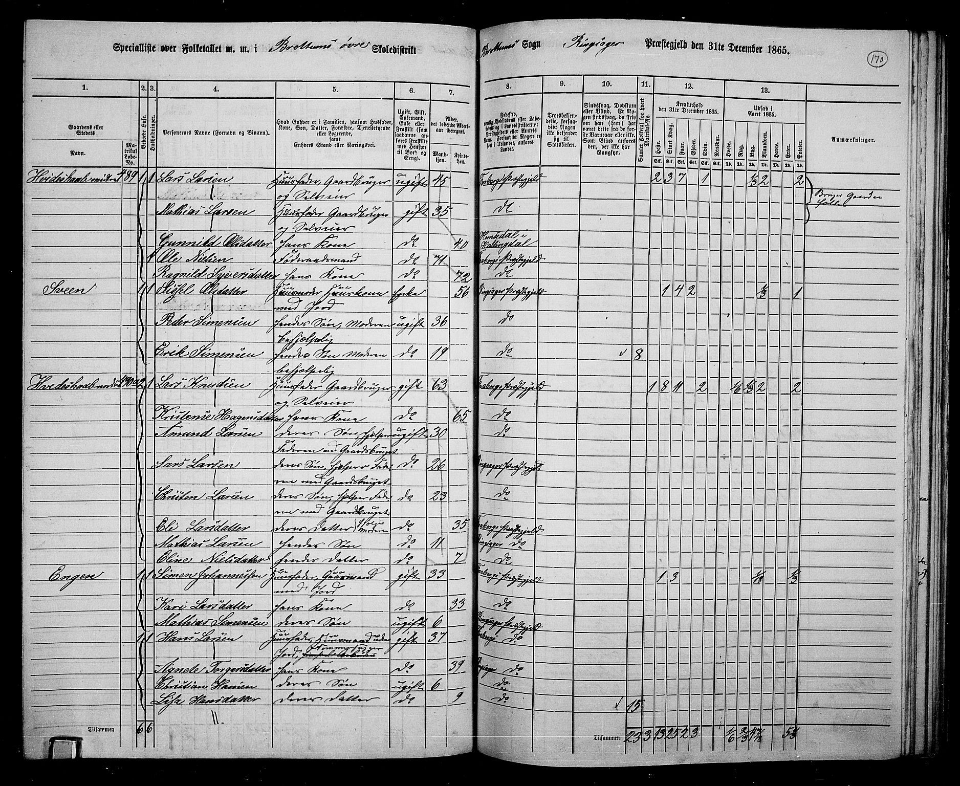 RA, 1865 census for Ringsaker, 1865, p. 414