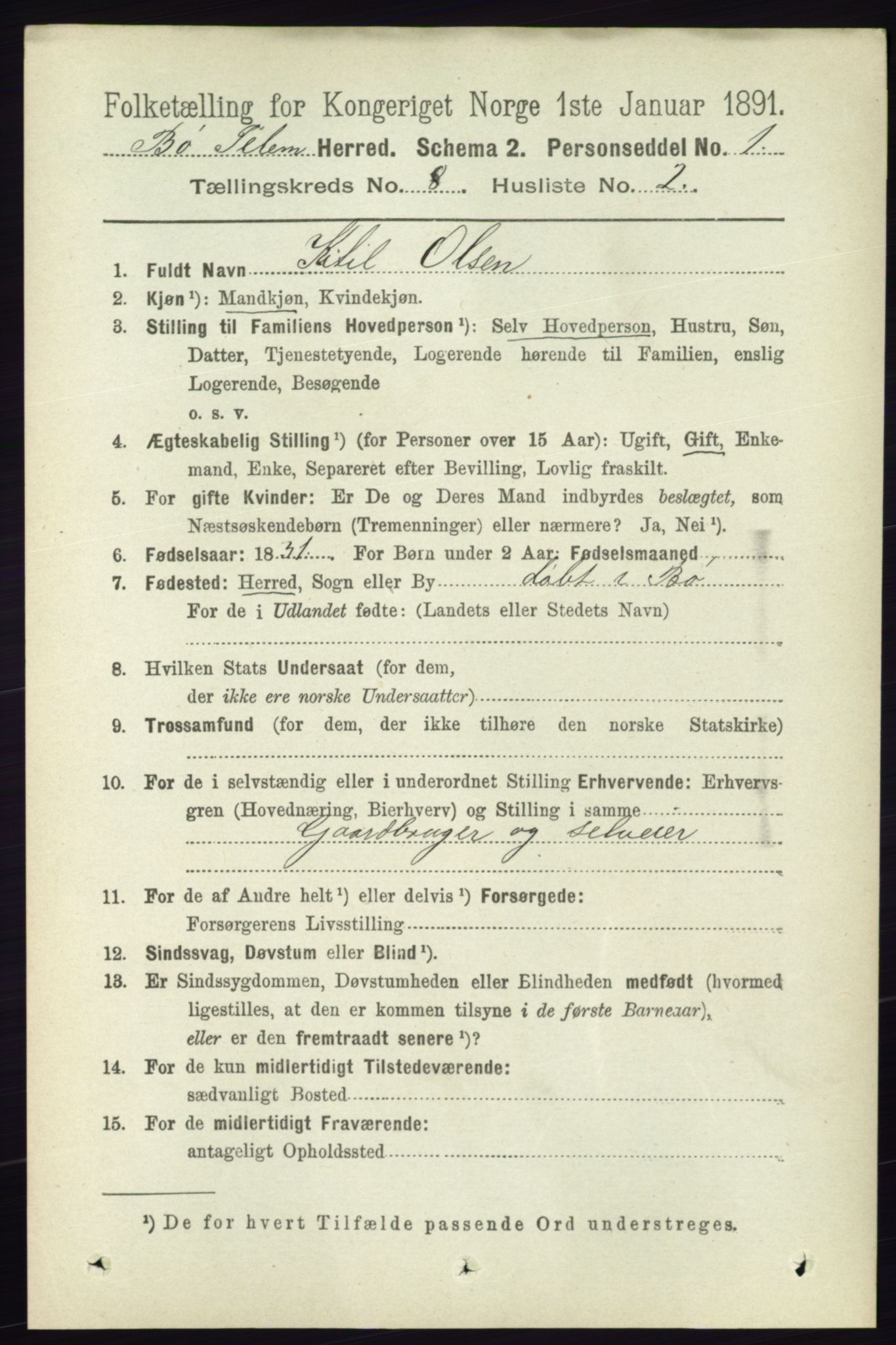 RA, 1891 census for 0821 Bø, 1891, p. 2566