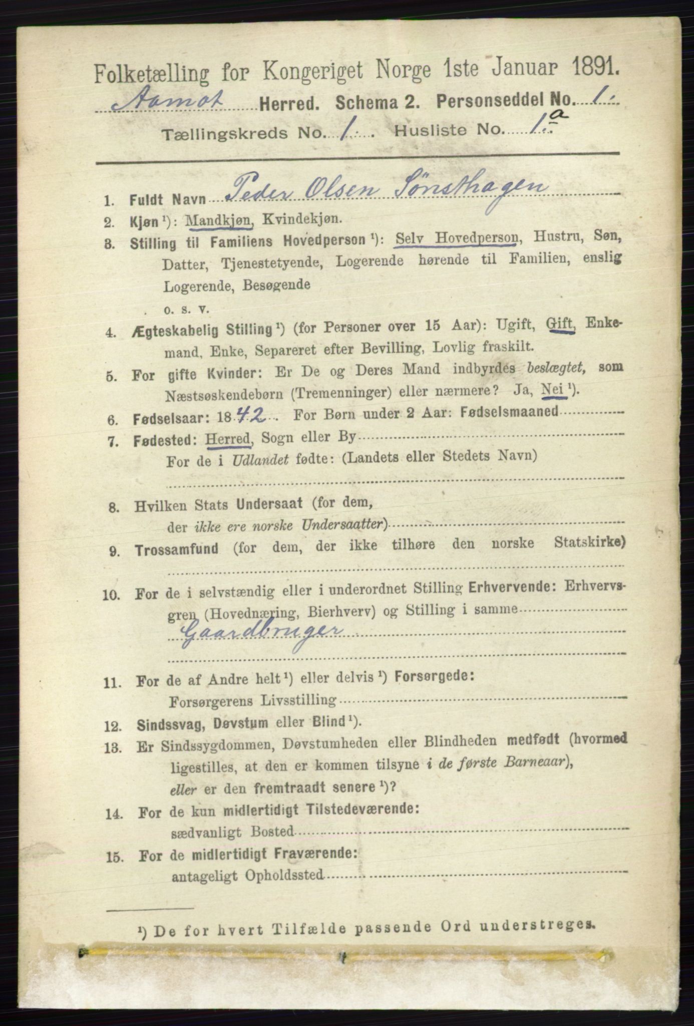 RA, 1891 census for 0429 Åmot, 1891, p. 133