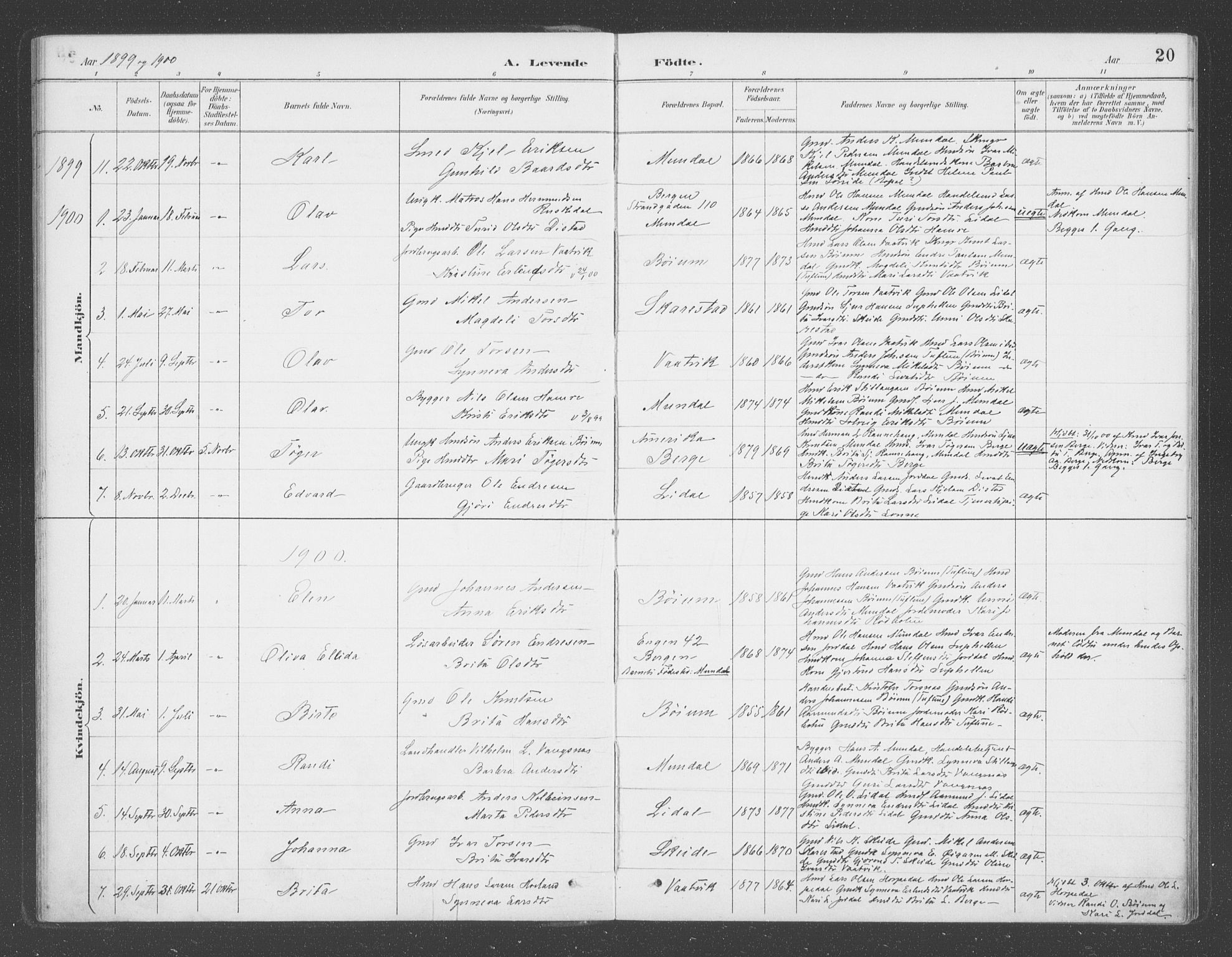 Balestrand sokneprestembete, SAB/A-79601/H/Haa/Haac/L0001: Parish register (official) no. C  1, 1889-1909, p. 20