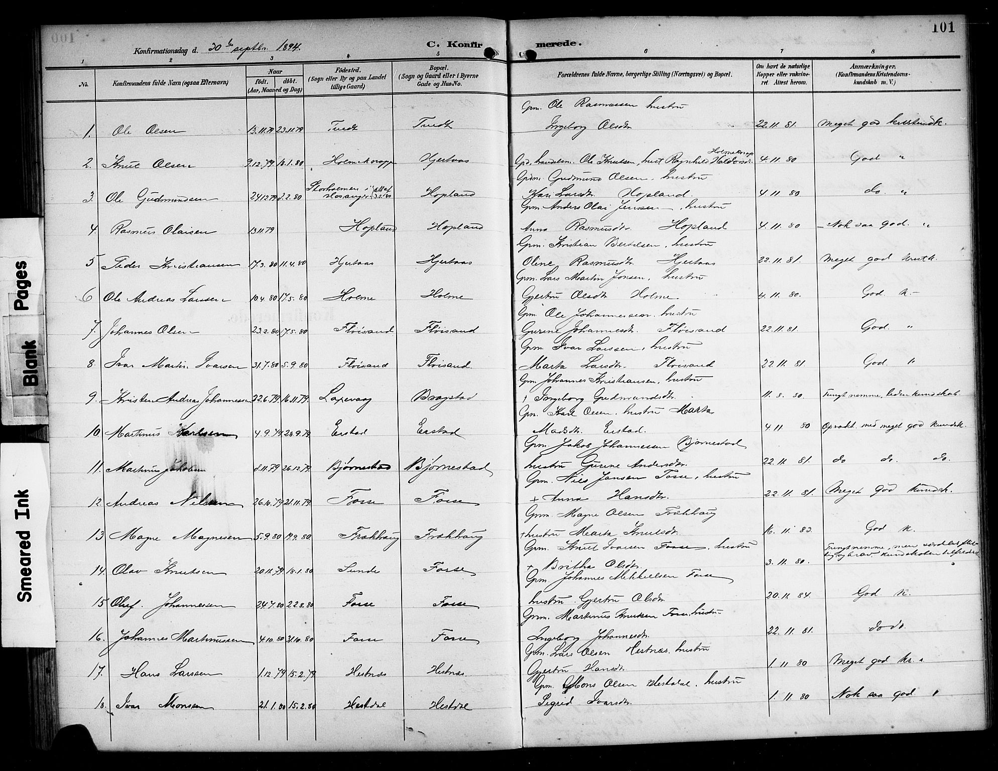 Alversund Sokneprestembete, SAB/A-73901/H/Ha/Hab: Parish register (copy) no. C 4, 1894-1924, p. 101
